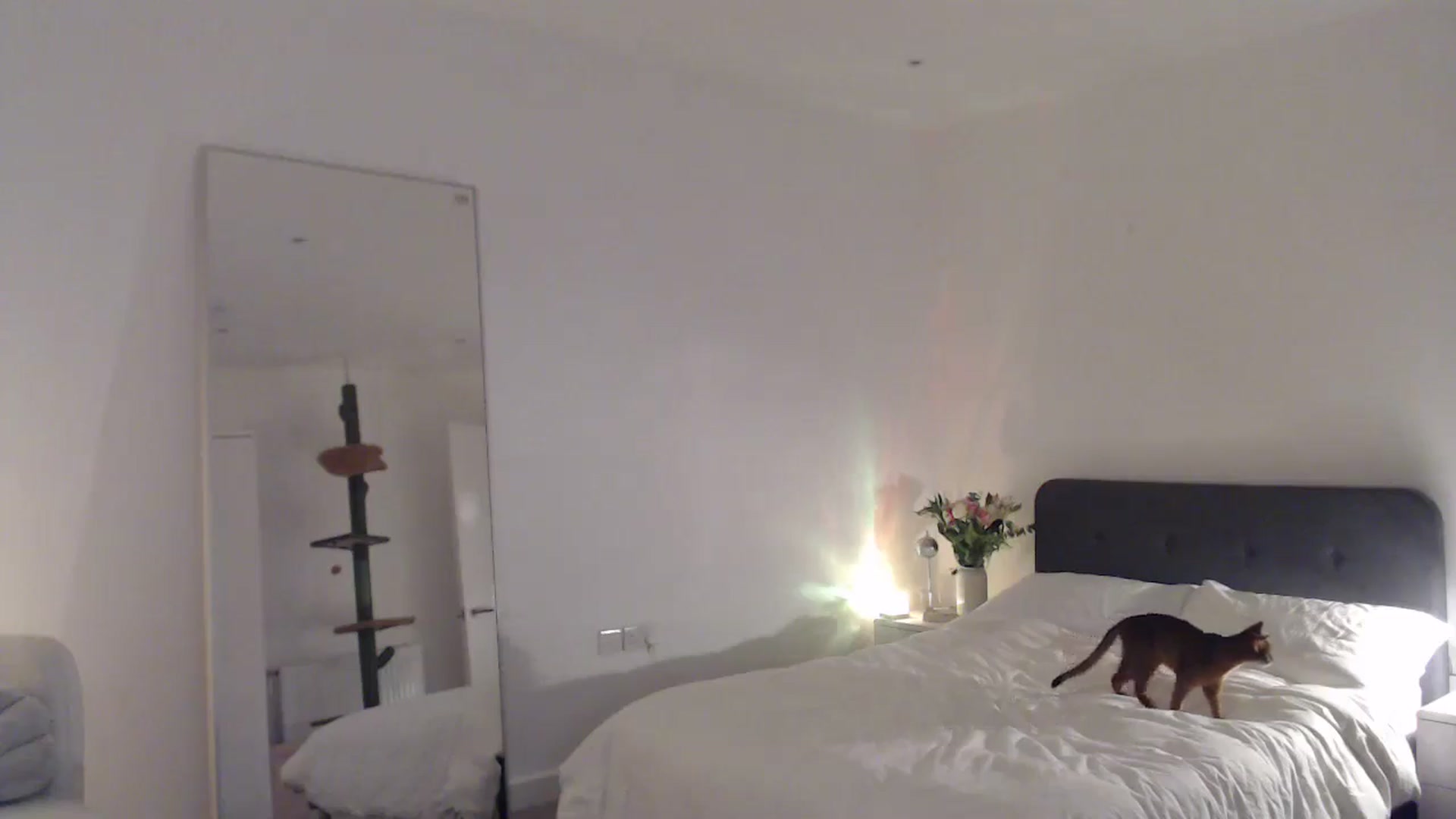 Gallery image thumbnail from anacardi's myfreecams stream on, 08/27/2024, 24:03 image 18 of 20