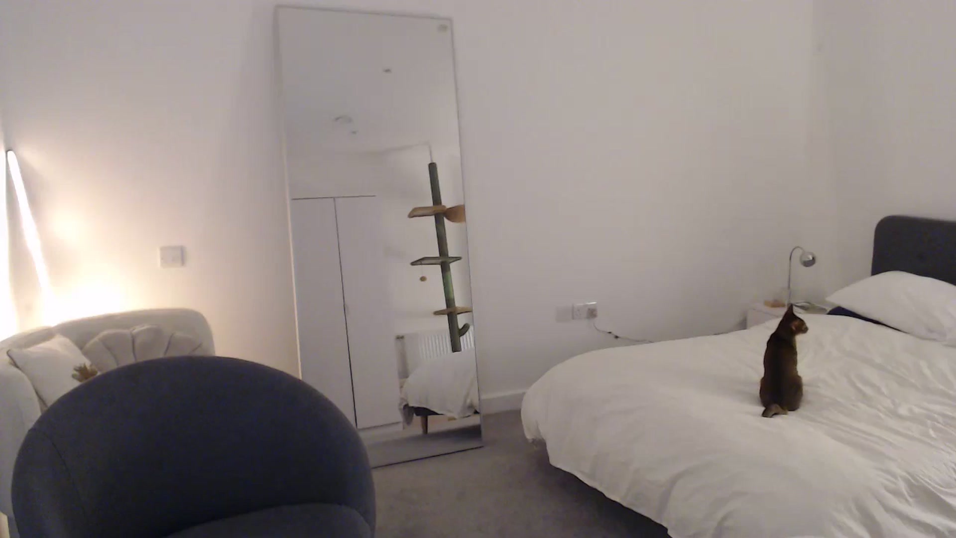 Gallery image thumbnail from anacardi's myfreecams stream on, 09/22/2024, 22:22 image 11 of 20