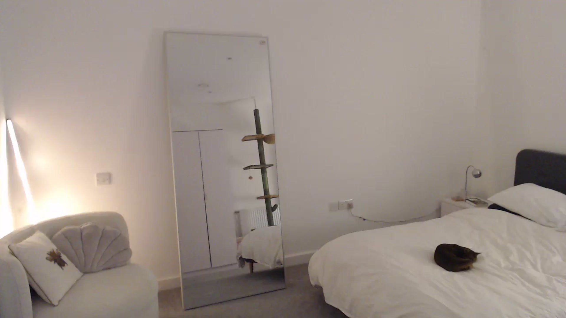 Gallery image thumbnail from anacardi's myfreecams stream on, 09/22/2024, 22:22 image 6 of 20