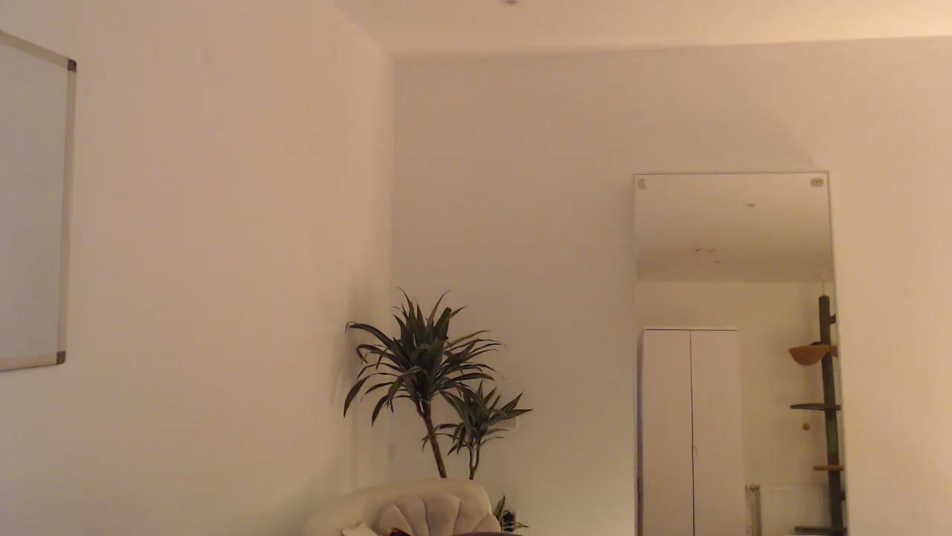 Gallery image thumbnail from anacardi's myfreecams stream on, 10/15/2024, 20:14 image 11 of 20