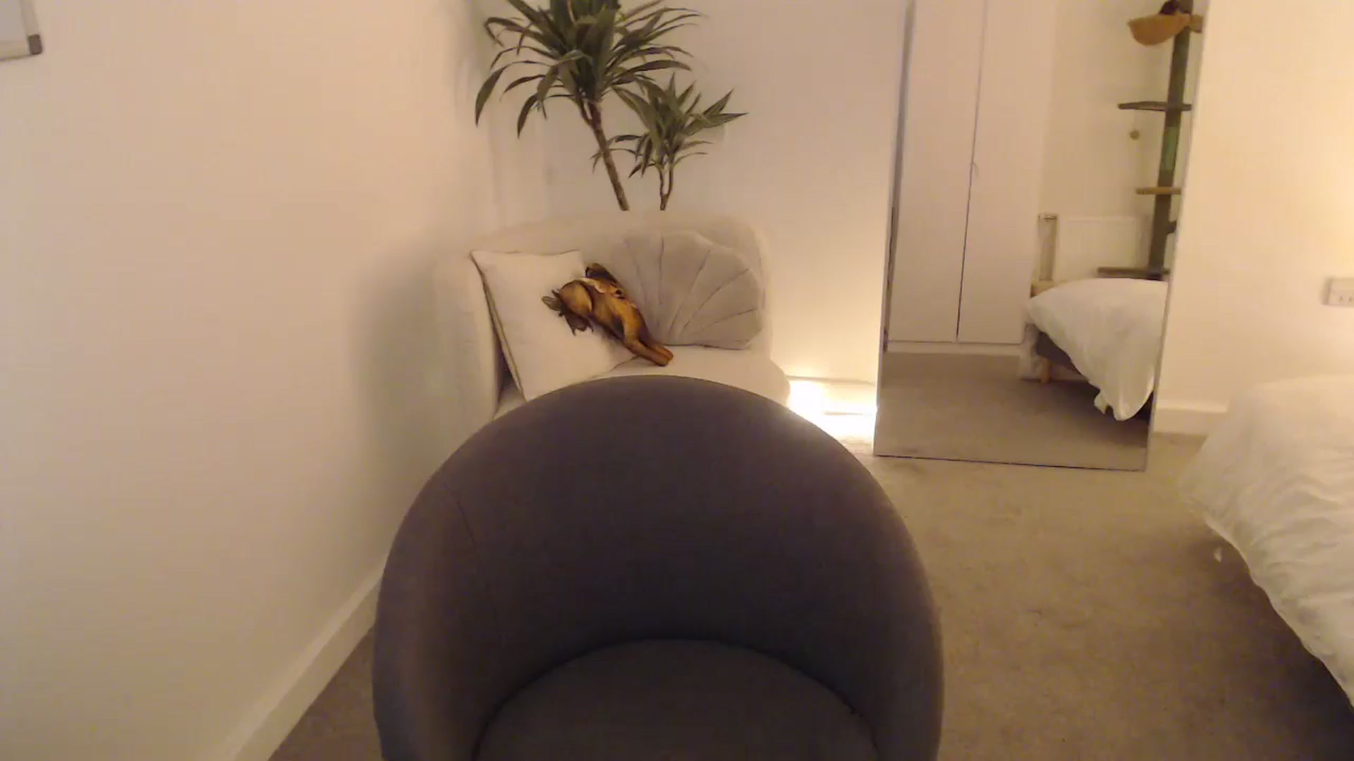 Gallery image thumbnail from anacardi's myfreecams stream on, 10/15/2024, 20:14 image 17 of 20
