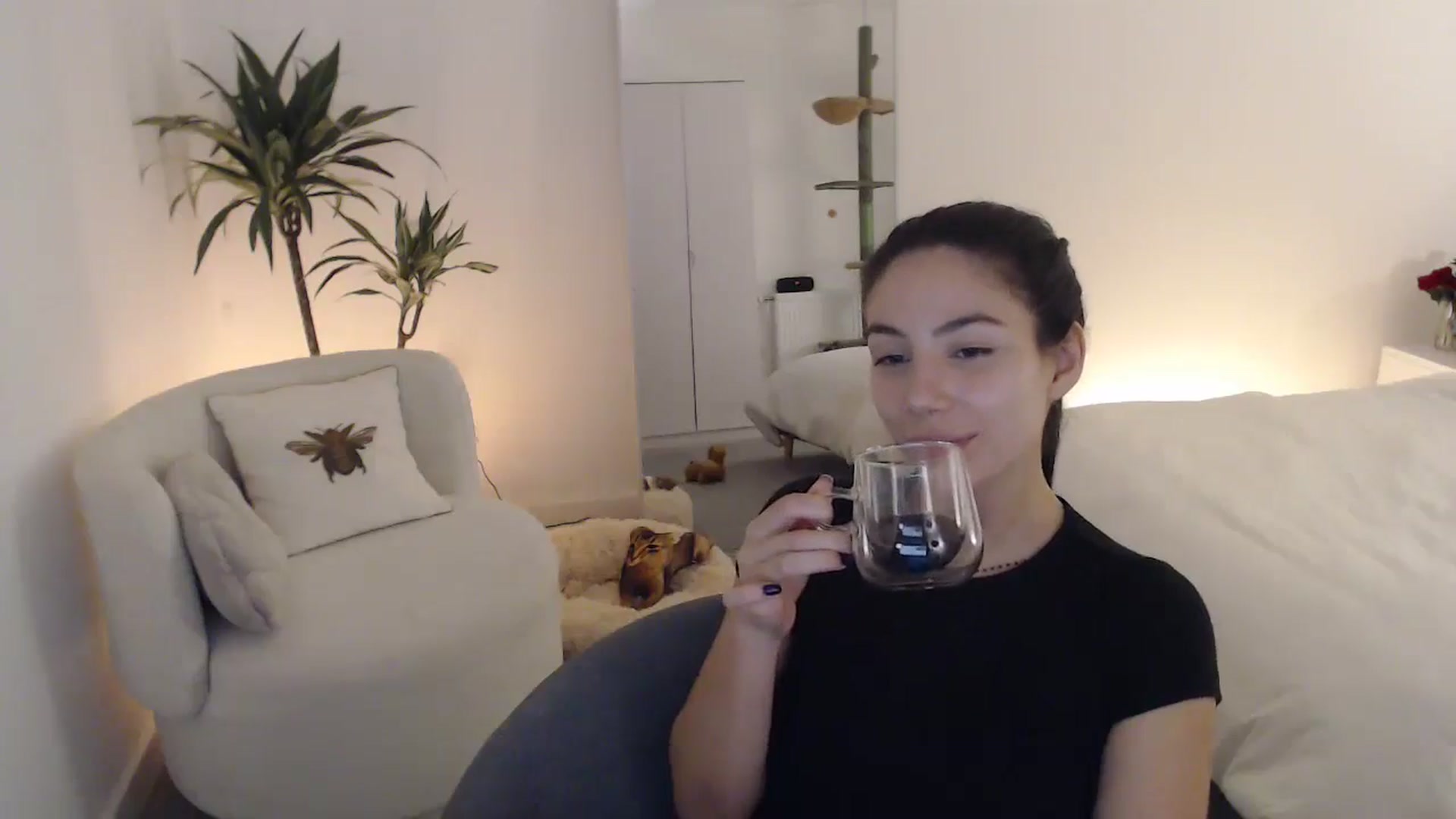 Gallery image thumbnail from anacardi's myfreecams stream on, 10/23/2024, 24:08 image 16 of 20