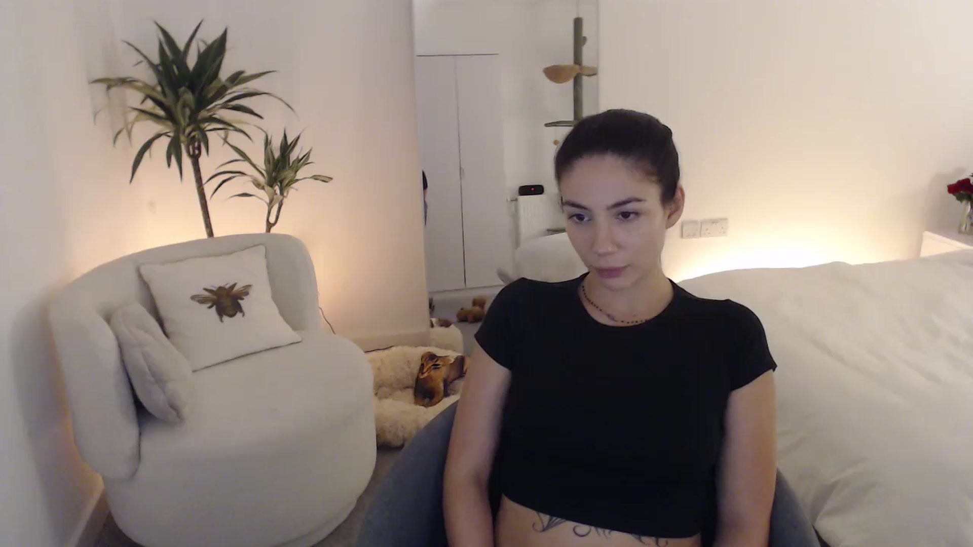 Gallery image thumbnail from anacardi's myfreecams stream on, 10/23/2024, 24:08 image 5 of 20