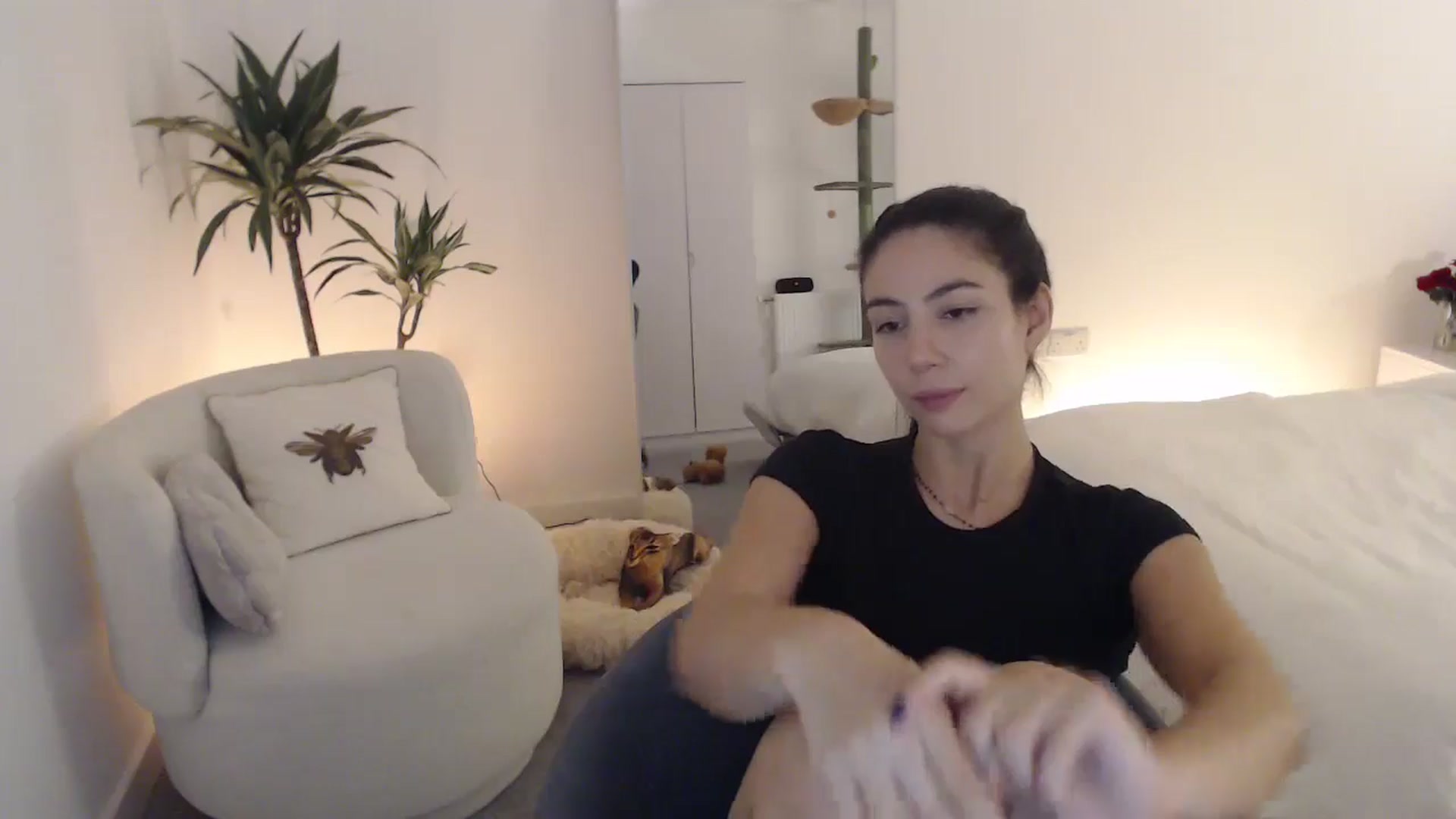 Gallery image thumbnail from anacardi's myfreecams stream on, 10/23/2024, 24:08 image 2 of 20