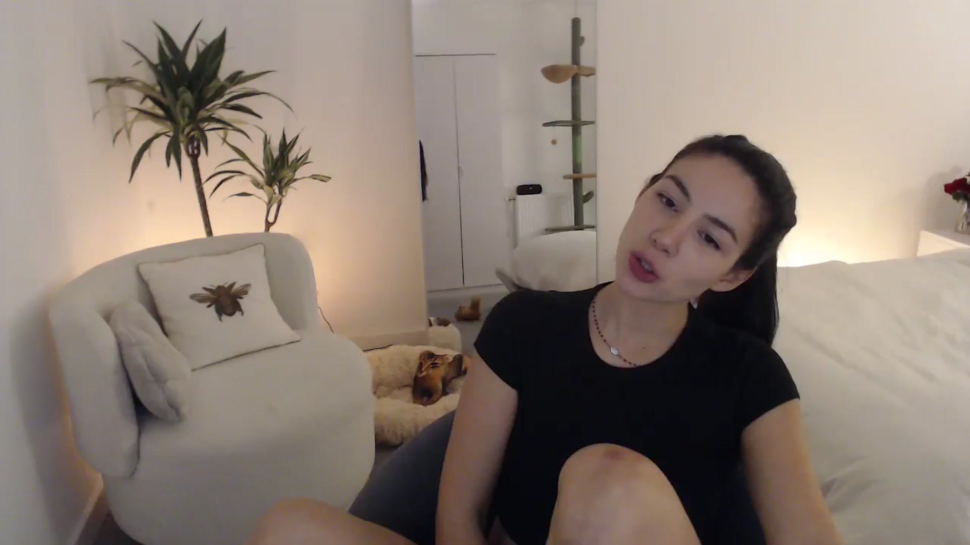 Gallery image thumbnail from anacardi's myfreecams stream on, 10/23/2024, 24:08 image 1 of 20