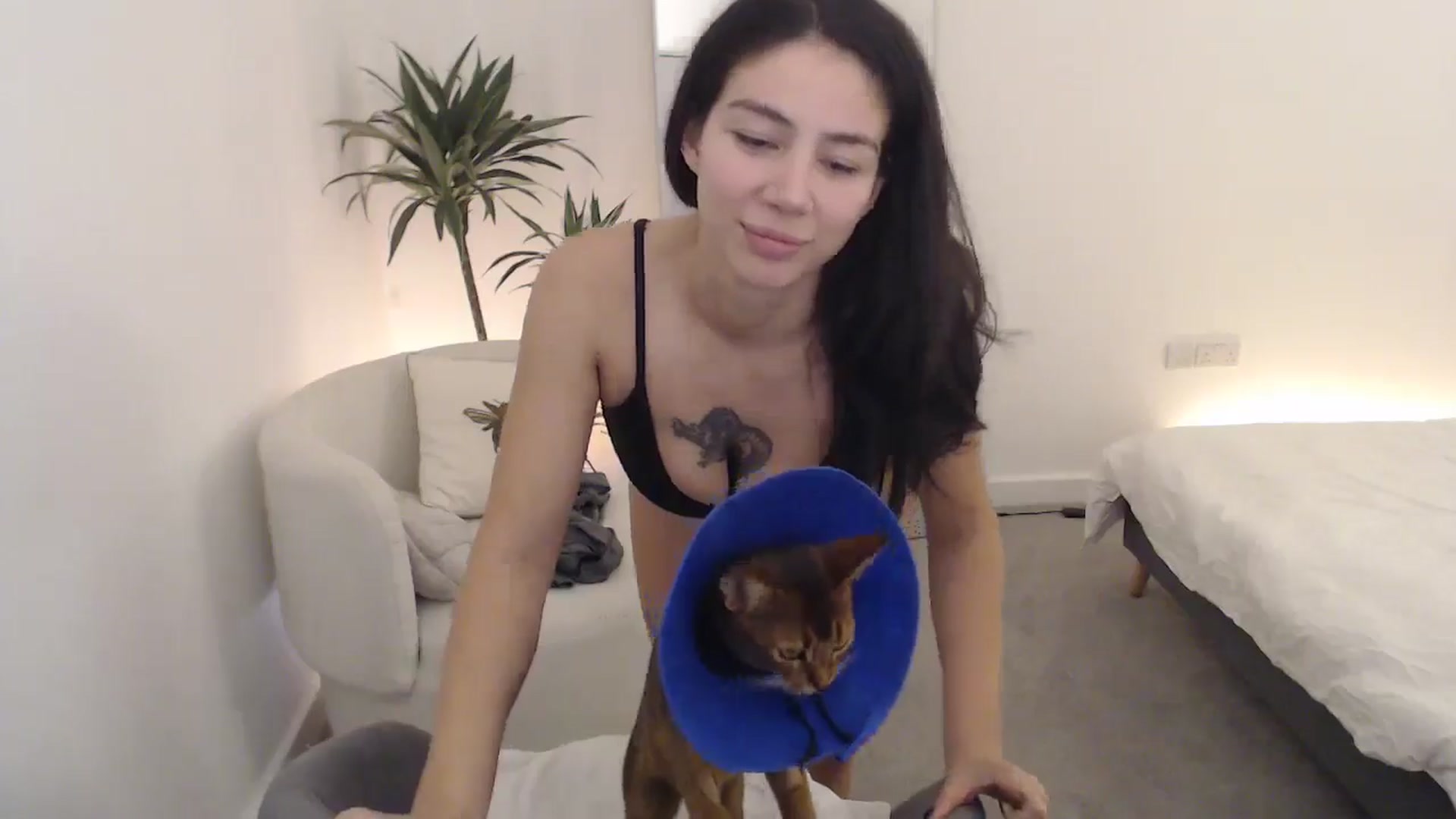 Gallery image thumbnail from anacardi's myfreecams stream on, 11/09/2024, 04:43 image 18 of 20