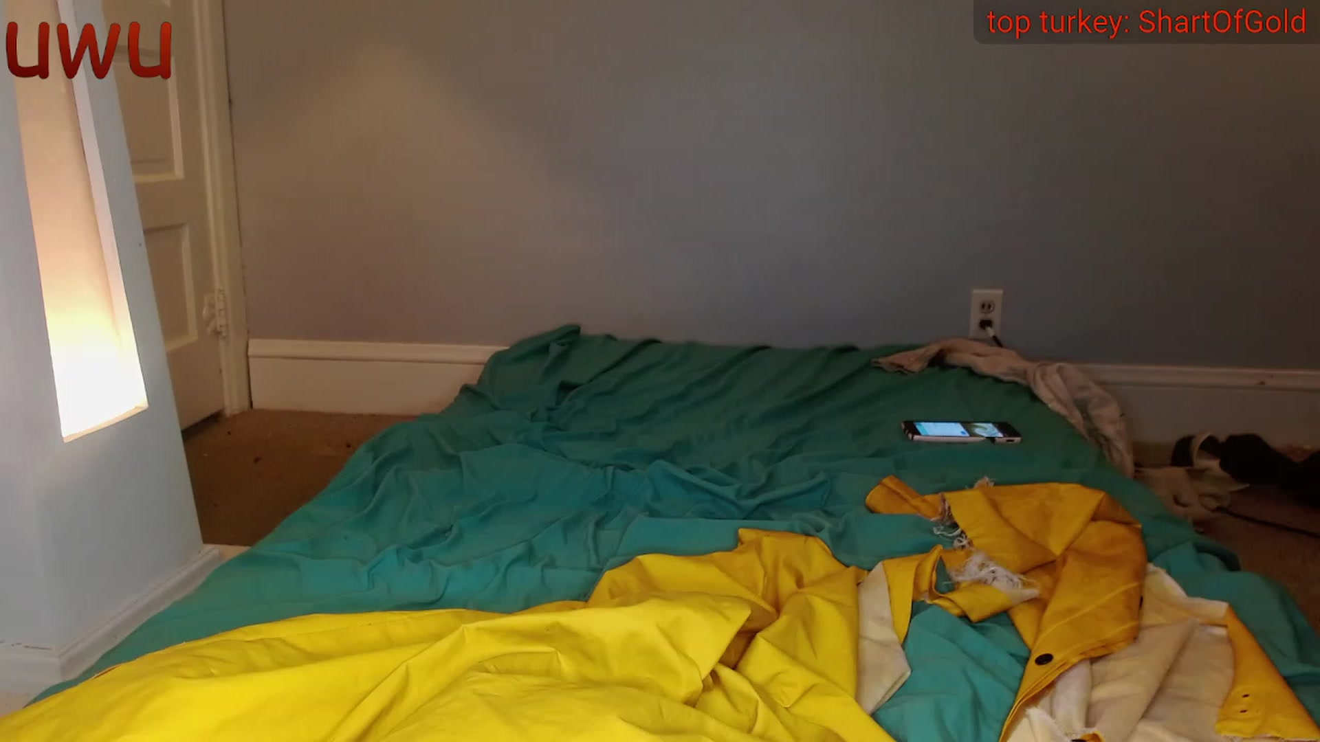 Gallery image thumbnail from anarchocringe's myfreecams stream on, 11/21/2022, 08:28 image 13 of 20