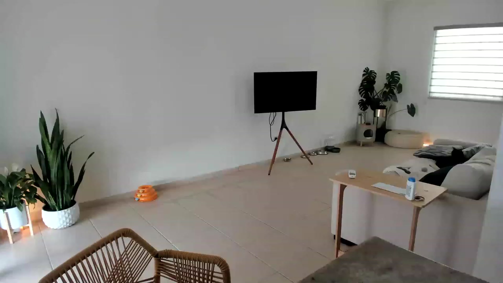 Gallery image thumbnail from anarossanna's myfreecams stream on, 03/17/2023, 18:41 image 17 of 20