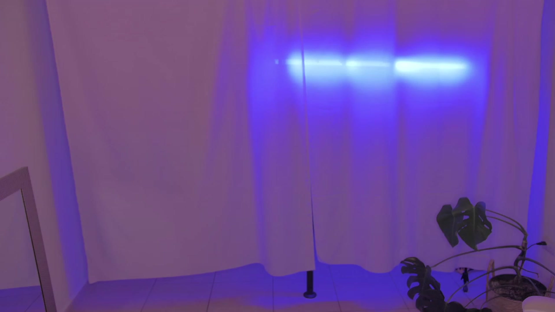 Gallery image thumbnail from anarossanna's myfreecams stream on, 02/02/2024, 03:13 image 14 of 20