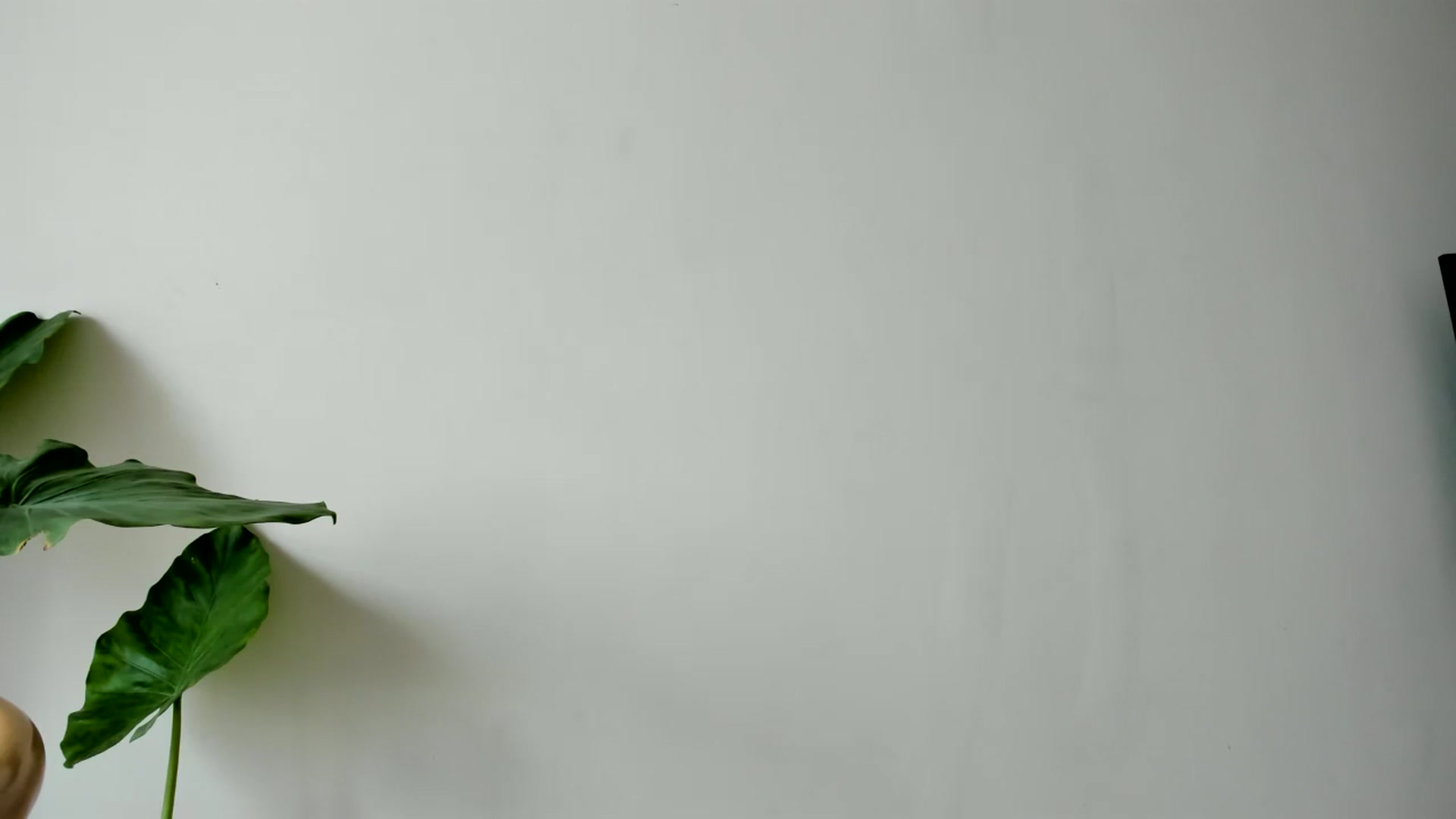 Gallery image thumbnail from anarossanna's myfreecams stream on, 03/07/2024, 18:37 image 18 of 20