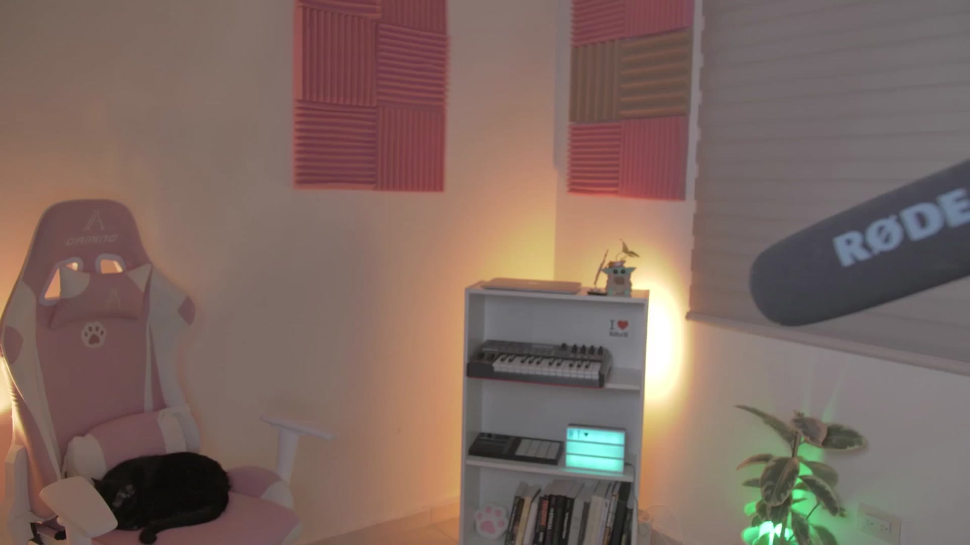 Gallery image thumbnail from anarossanna's myfreecams stream on, 06/02/2024, 06:18 image 9 of 20