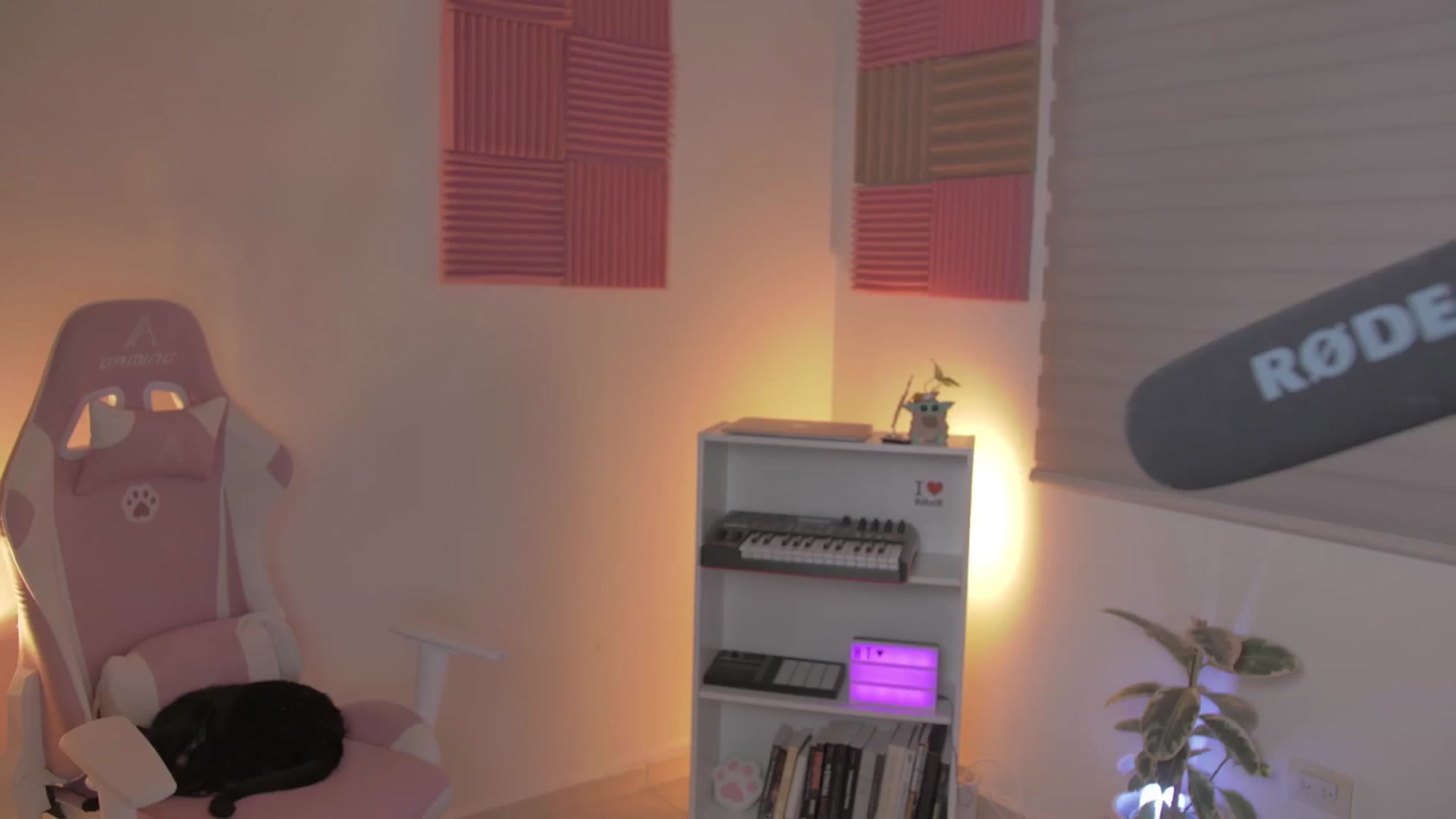 Gallery image thumbnail from anarossanna's myfreecams stream on, 06/02/2024, 06:18 image 10 of 20