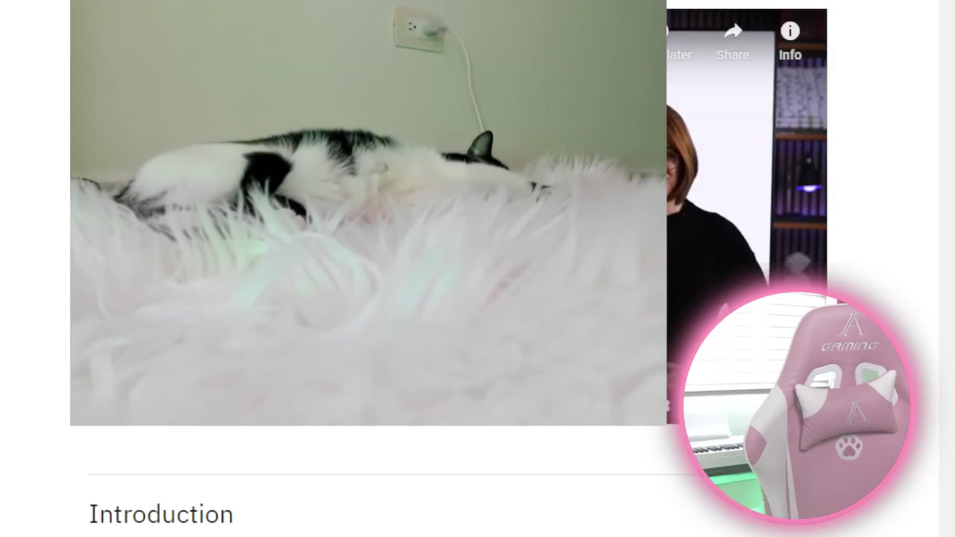Gallery image thumbnail from anarossanna's myfreecams stream on, 08/31/2024, 20:40 image 18 of 20