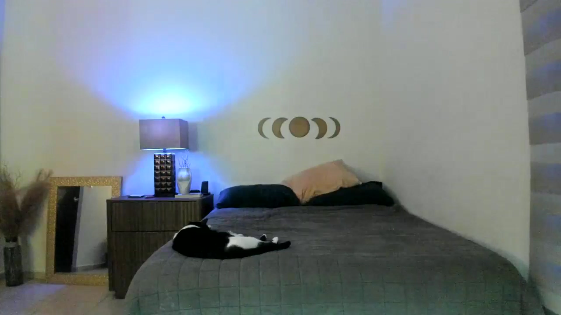 Gallery image thumbnail from anarossanna's myfreecams stream on, 11/02/2024, 03:44 image 3 of 20