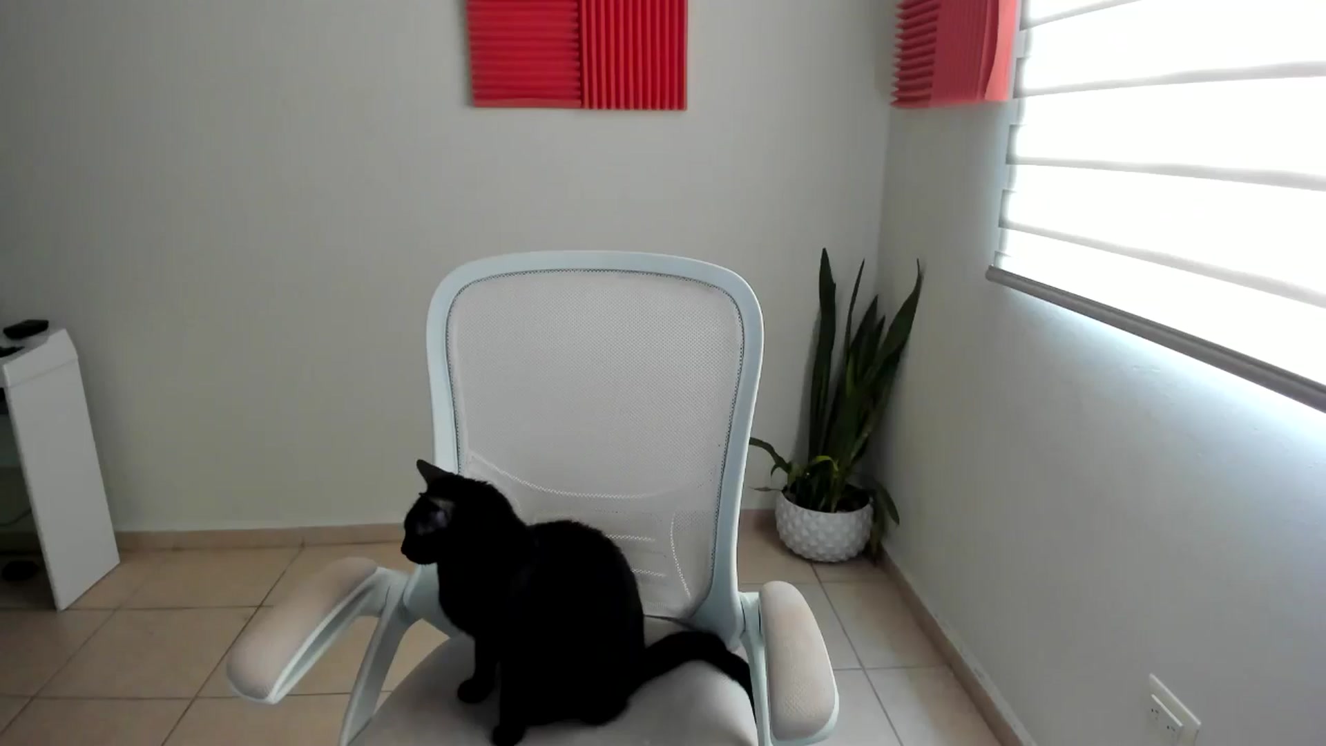 Gallery image thumbnail from anarossanna's myfreecams stream on, 01/28/2025, 19:50 image 4 of 20