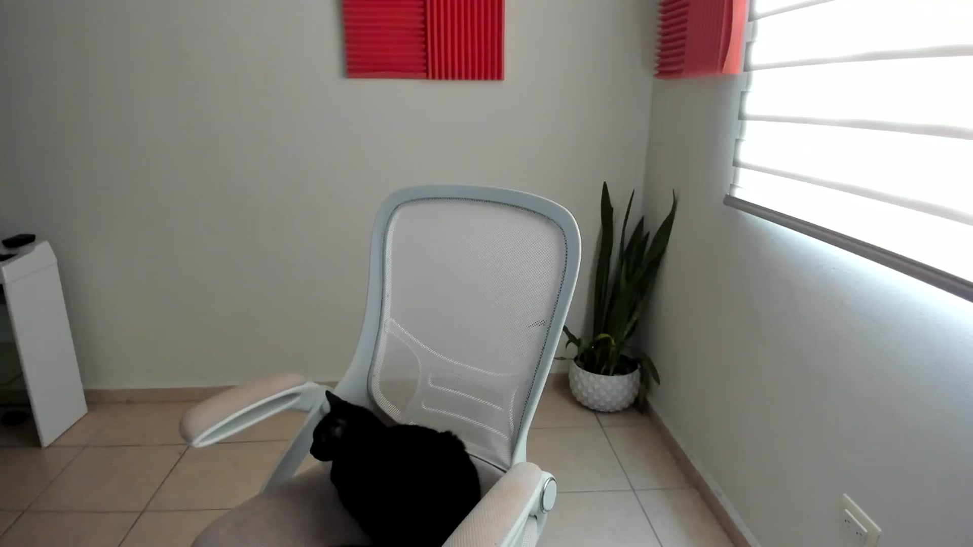 Gallery image thumbnail from anarossanna's myfreecams stream on, 01/28/2025, 19:50 image 9 of 20