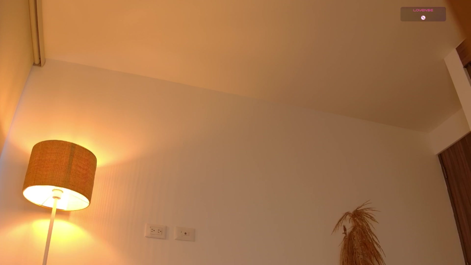 Gallery image thumbnail from angel_sweet9's myfreecams stream on, 05/01/2025, 19:38 image 10 of 20