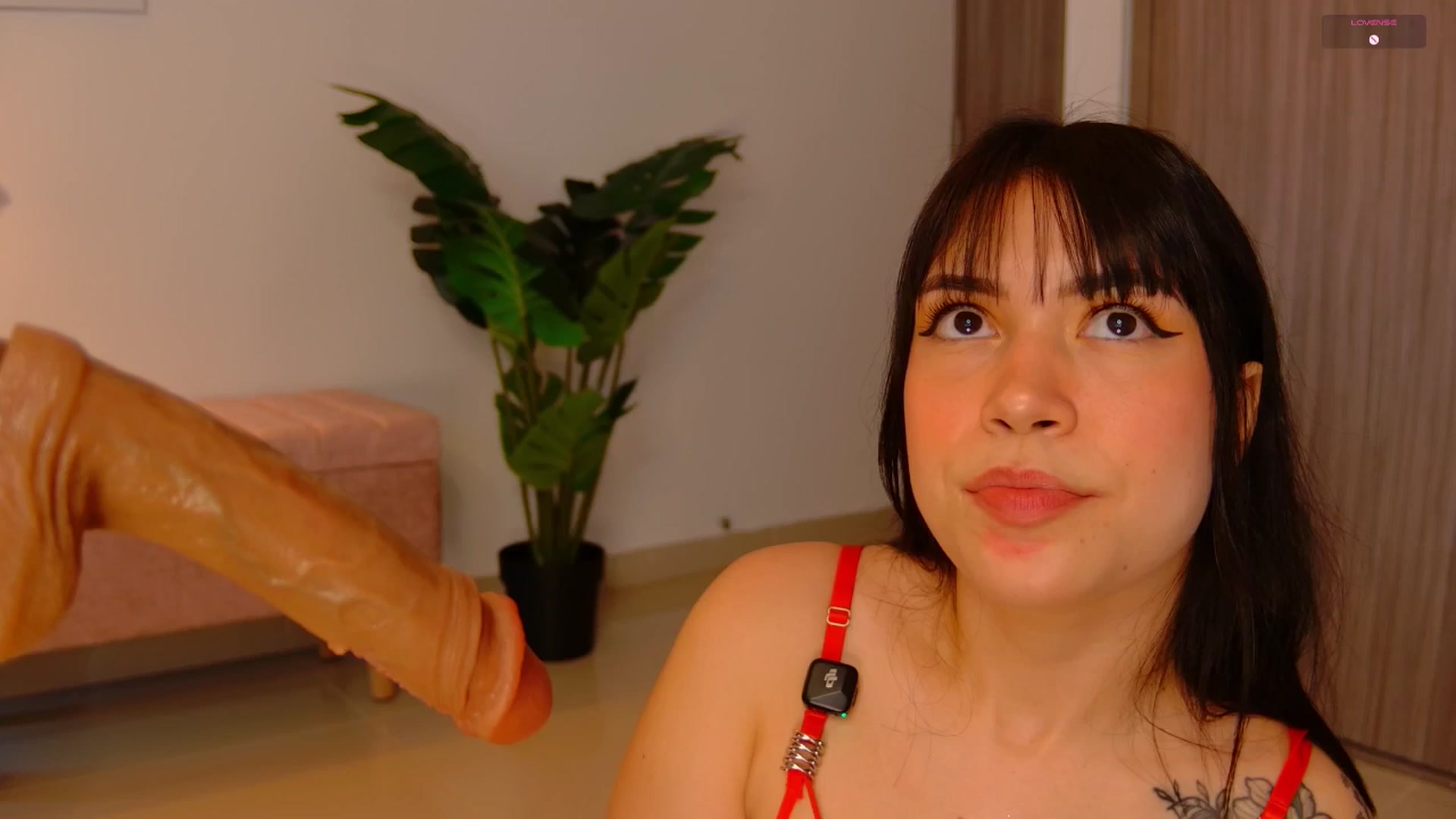 Gallery image thumbnail from angel_sweet9's myfreecams stream on, 10/29/2025, 15:37 image 5 of 20