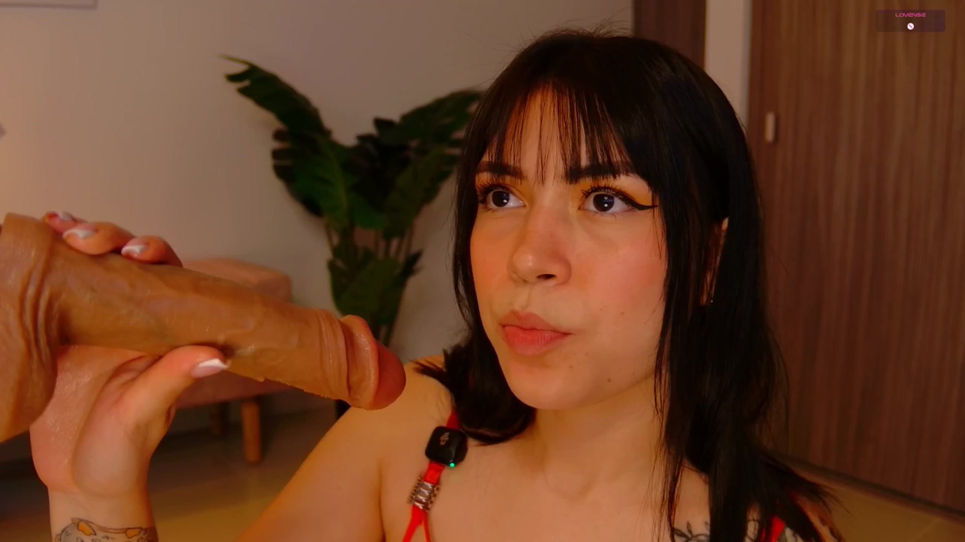 Gallery image thumbnail from angel_sweet9's myfreecams stream on, 10/29/2025, 15:37 image 16 of 20