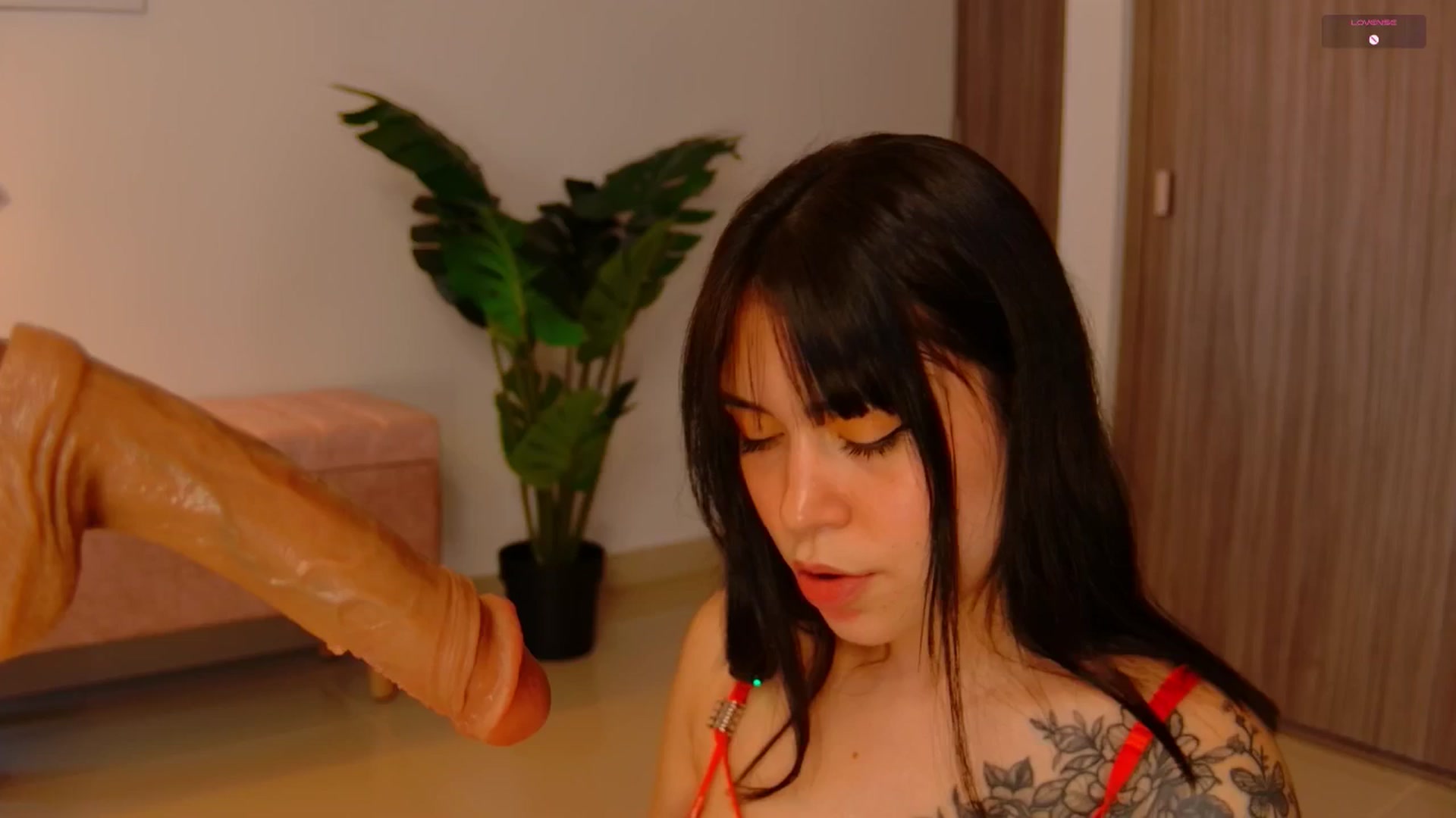 Gallery image thumbnail from angel_sweet9's myfreecams stream on, 10/29/2025, 15:37 image 6 of 20
