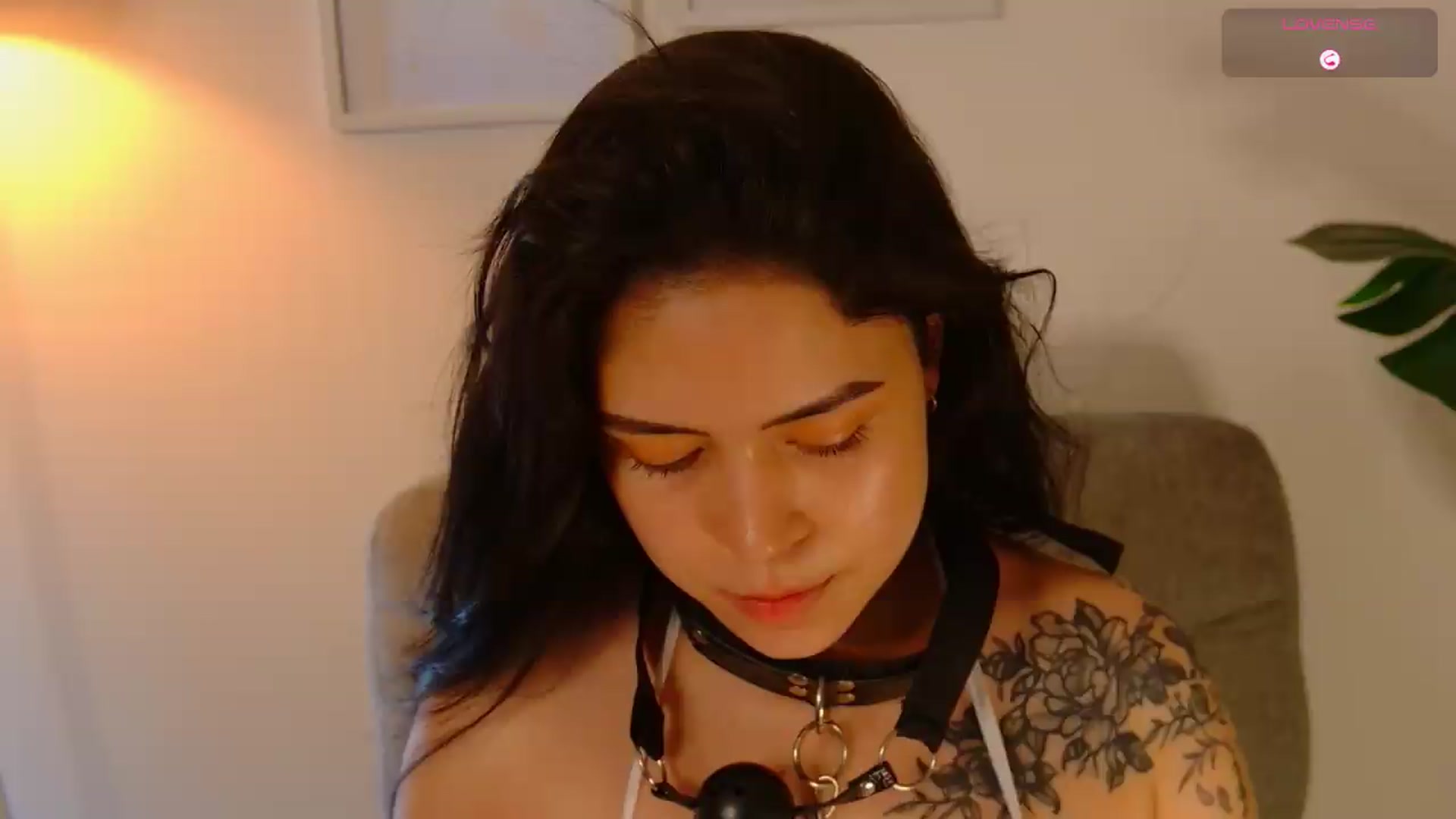 Gallery image thumbnail from angel_sweet9's myfreecams stream on, 07/16/2026, 16:41 image 20 of 20