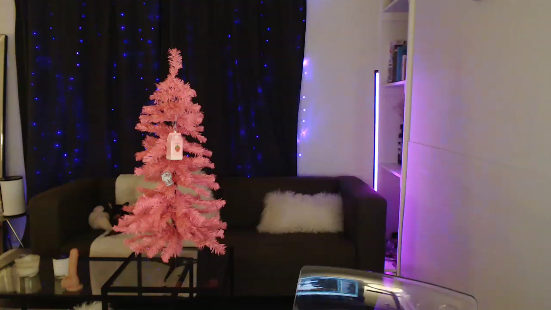 Gallery image thumbnail from angelpuppygrl's myfreecams stream on, 12/18/2022, 05:28 image 10 of 20
