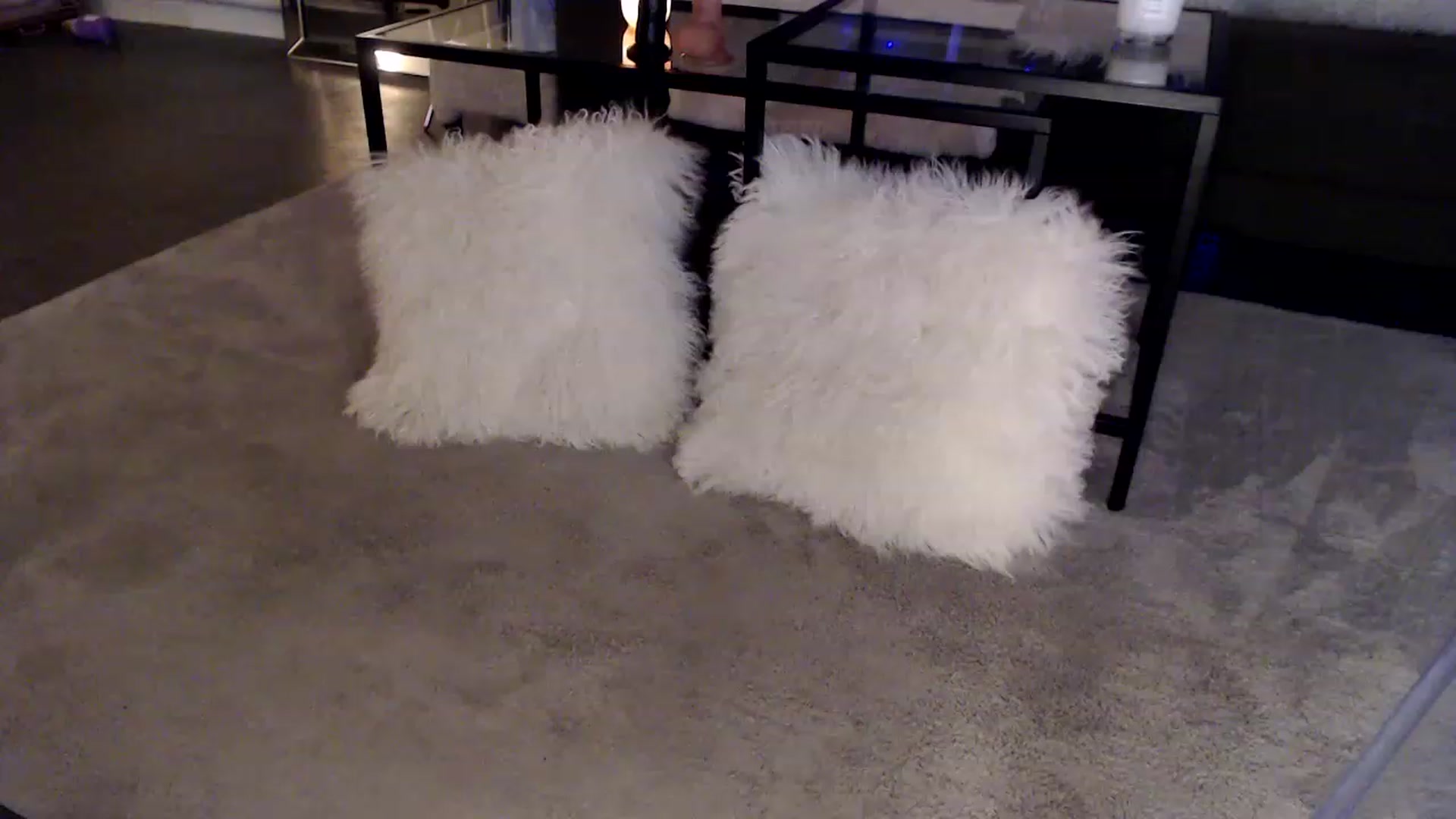 Gallery image thumbnail from angelpuppygrl's myfreecams stream on, 01/12/2023, 07:33 image 8 of 20