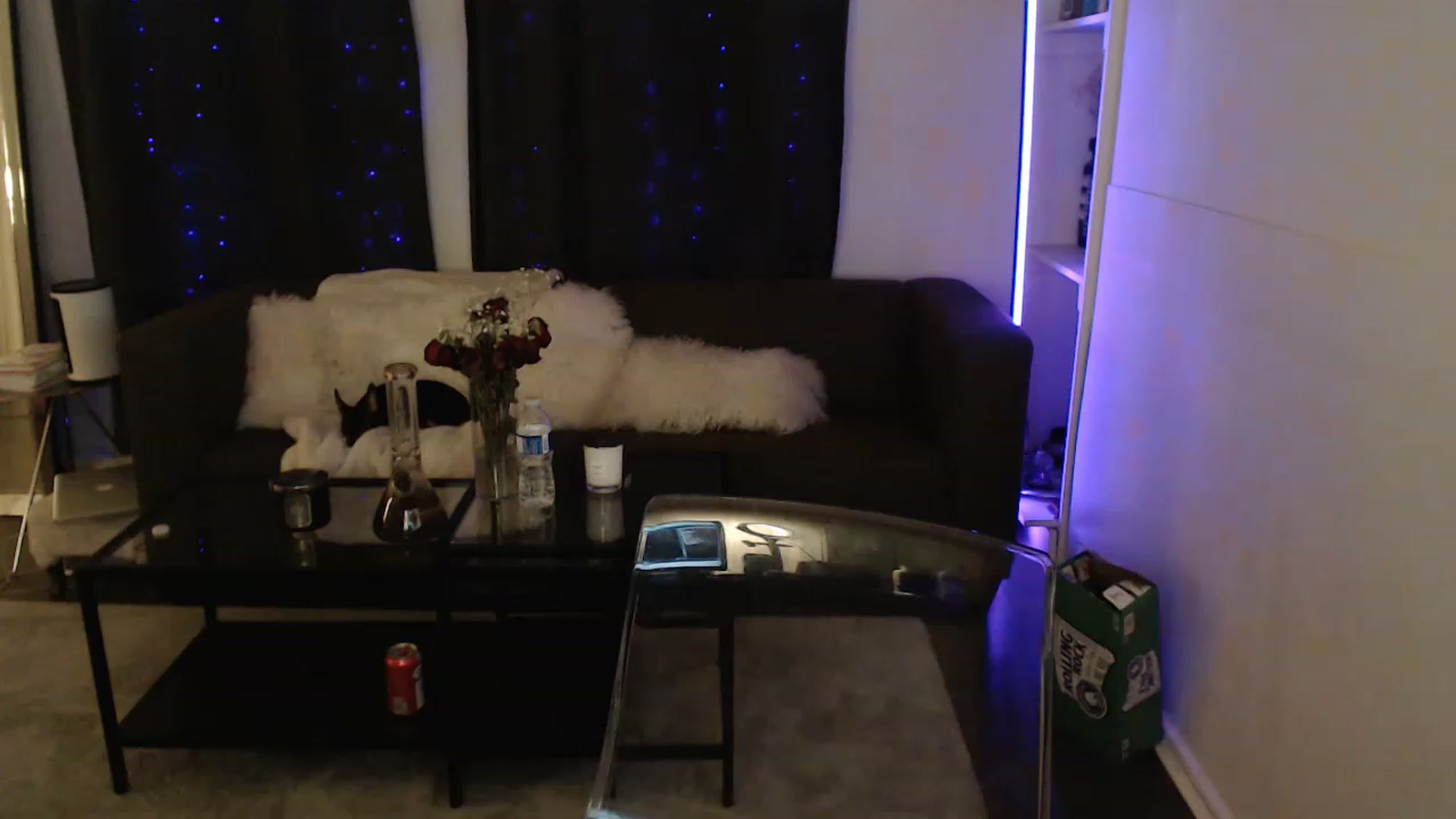 Gallery image thumbnail from angelpuppygrl's myfreecams stream on, 04/14/2023, 14:58 image 11 of 20