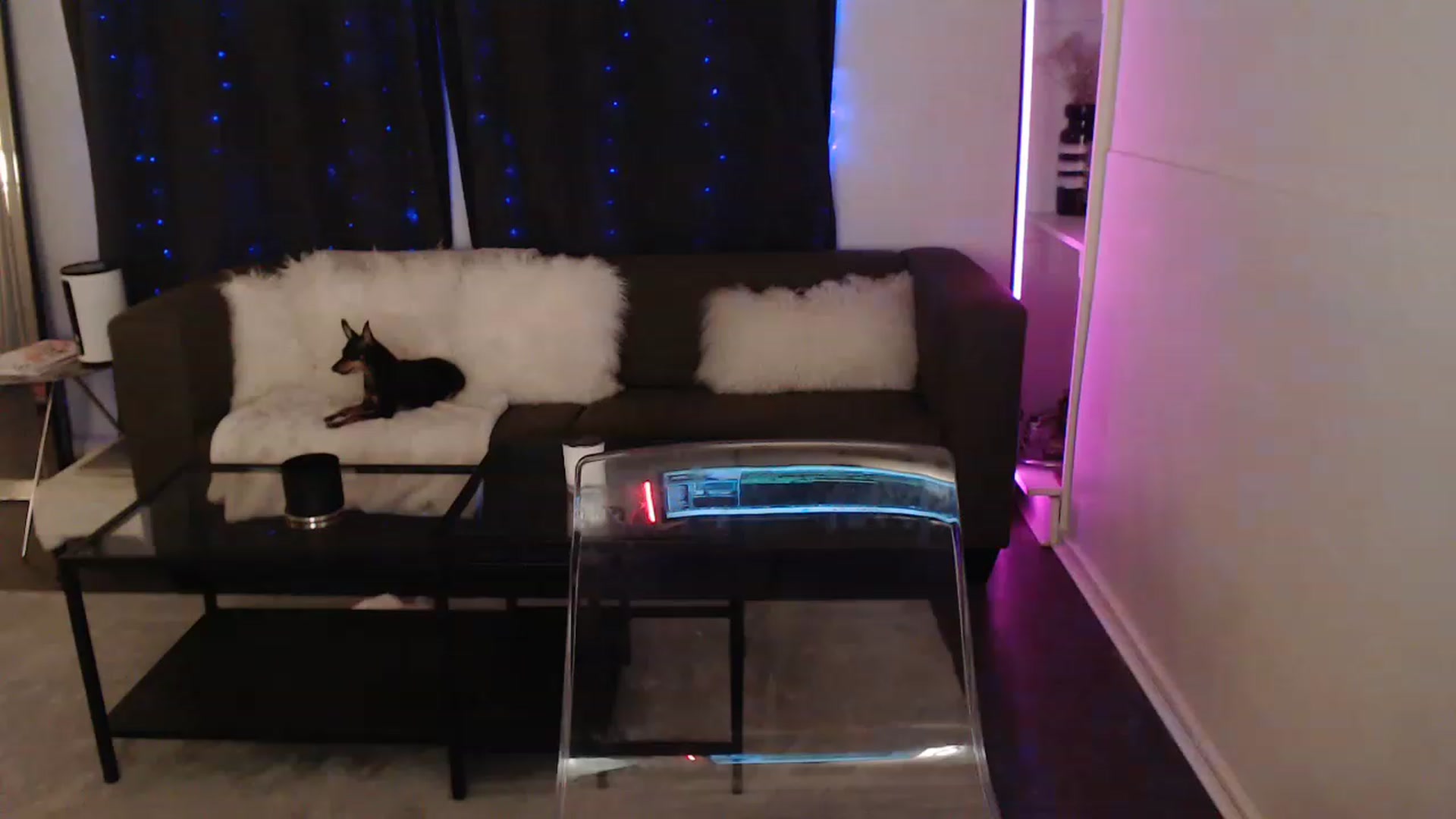 Gallery image thumbnail from angelpuppygrl's myfreecams stream on, 04/25/2023, 06:19 image 5 of 20
