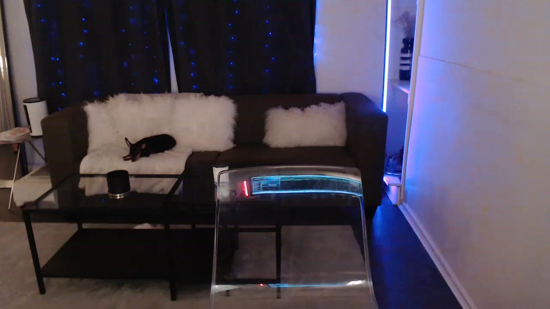 Gallery image thumbnail from angelpuppygrl's myfreecams stream on, 04/25/2023, 06:19 image 2 of 20