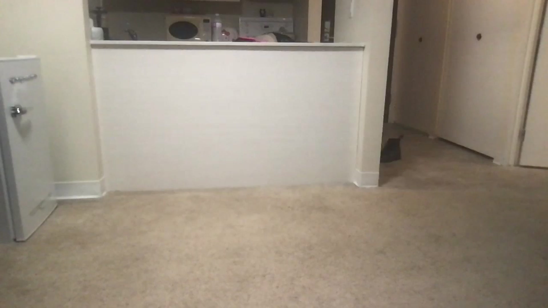 Gallery image thumbnail from angelpuppygrl's myfreecams stream on, 07/30/2023, 08:40 image 19 of 20