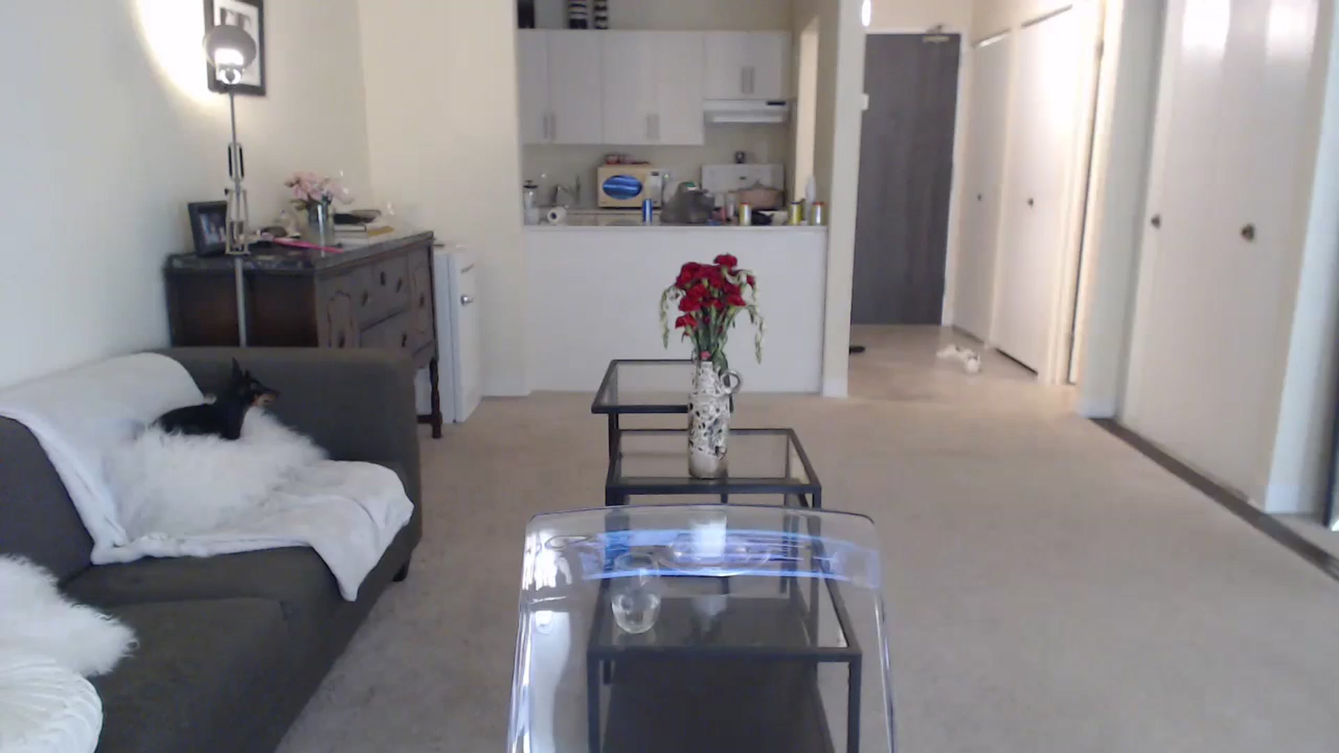 Gallery image thumbnail from angelpuppygrl's myfreecams stream on, 08/30/2023, 14:03 image 5 of 20