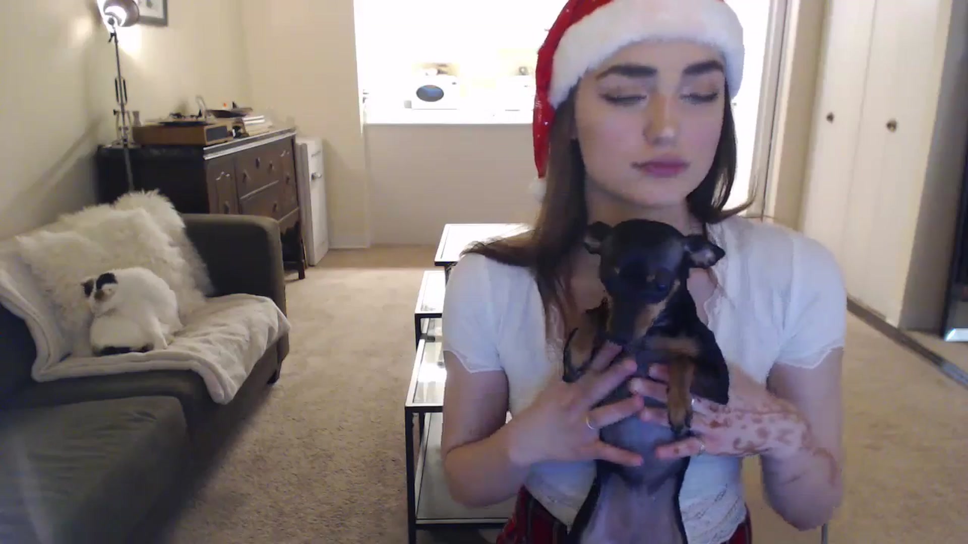 Gallery image thumbnail from angelpuppygrl's myfreecams stream on, 12/24/2023, 19:51 image 3 of 20