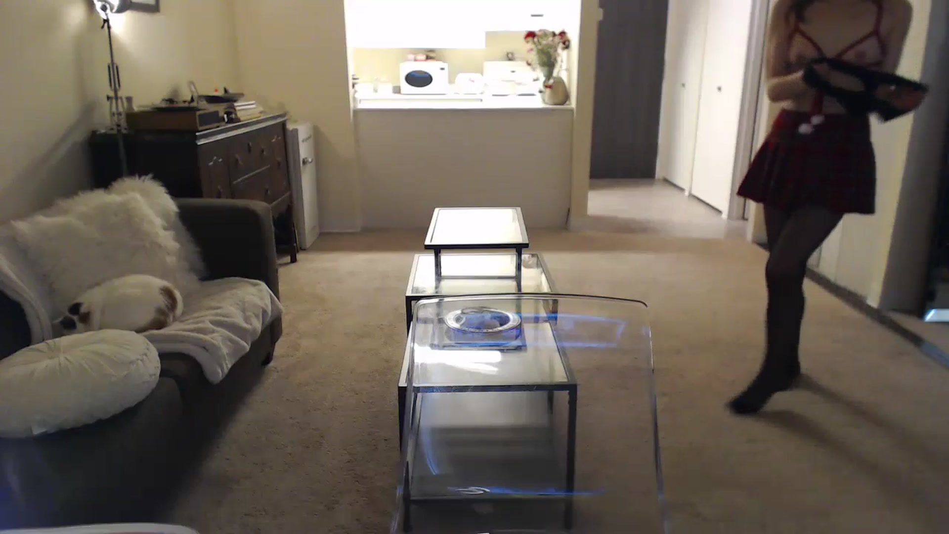 Gallery image thumbnail from angelpuppygrl's myfreecams stream on, 12/24/2023, 20:55 image 11 of 20