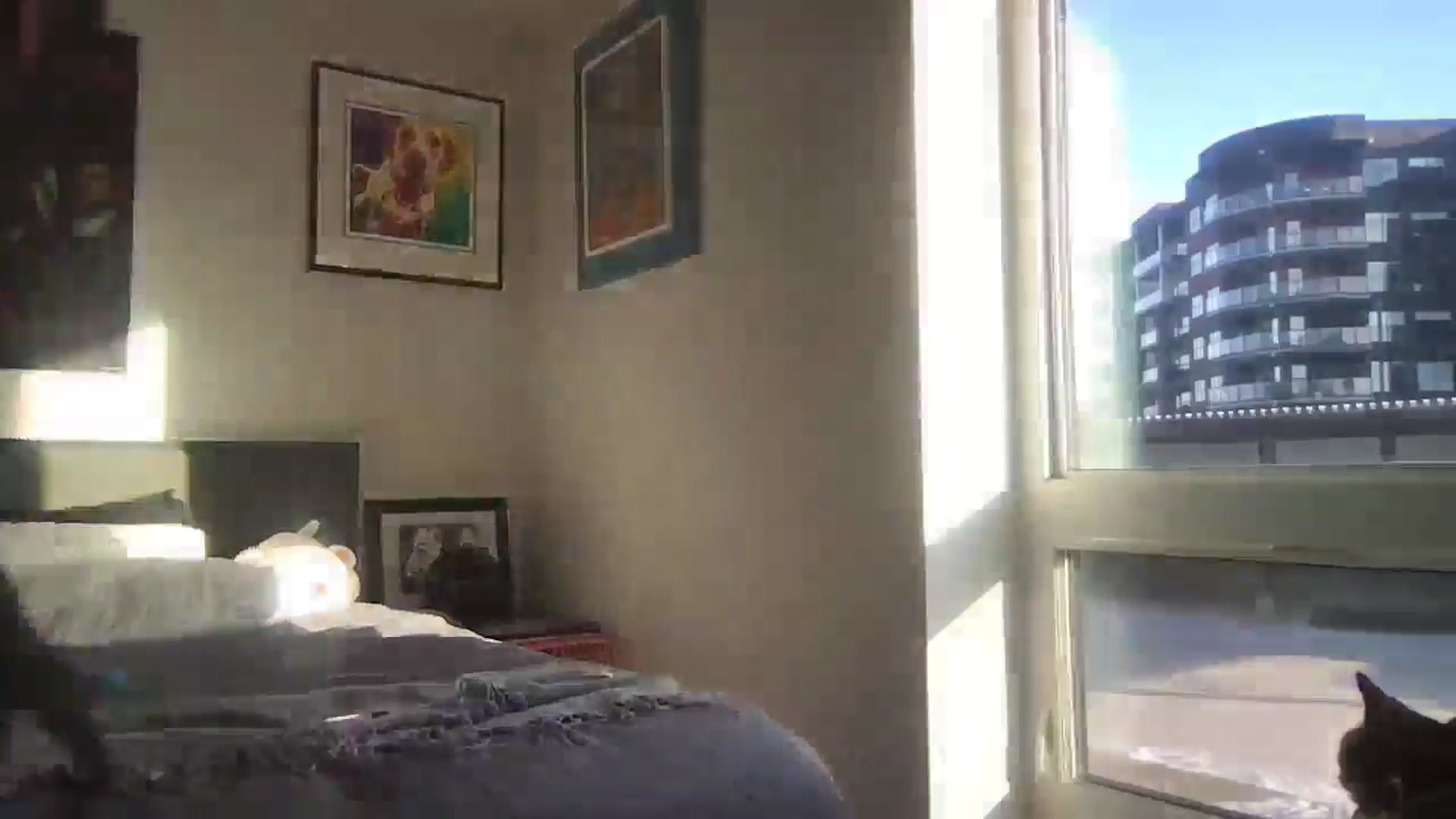 Gallery image thumbnail from angelpuppygrl's myfreecams stream on, 12/04/2024, 16:35 image 11 of 20