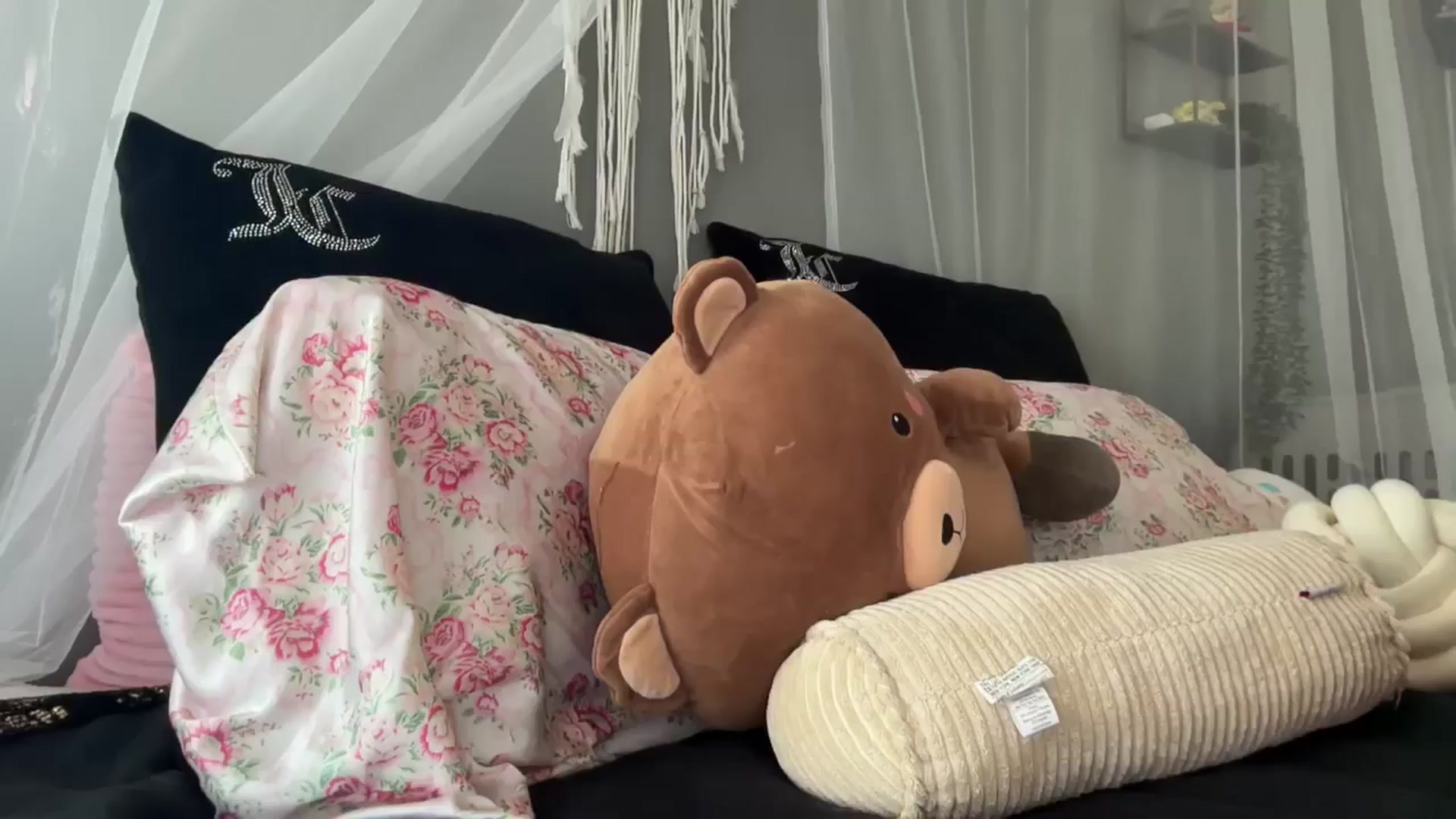 Gallery image thumbnail from annieangel18's myfreecams stream on, 04/11/2025, 16:23 image 18 of 20
