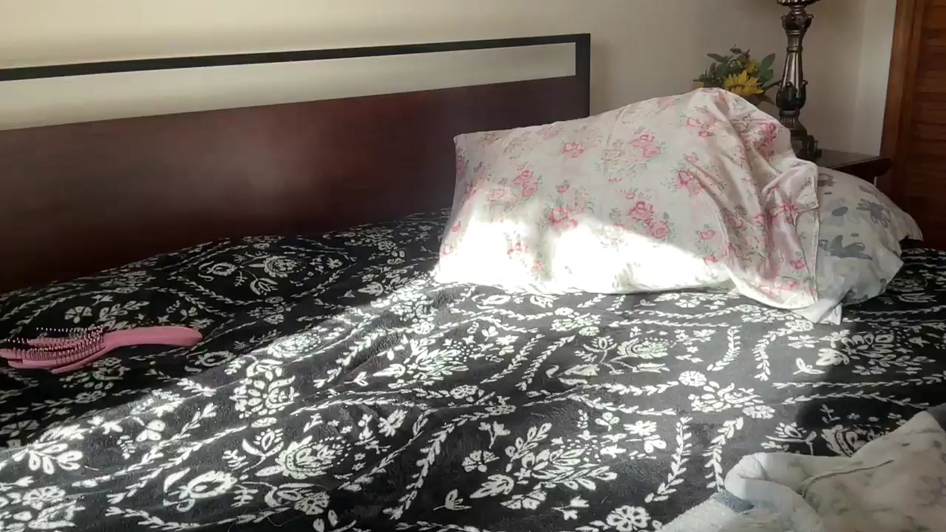 Gallery image thumbnail from annieangel18's myfreecams stream on, 11/13/2025, 19:54 image 1 of 20
