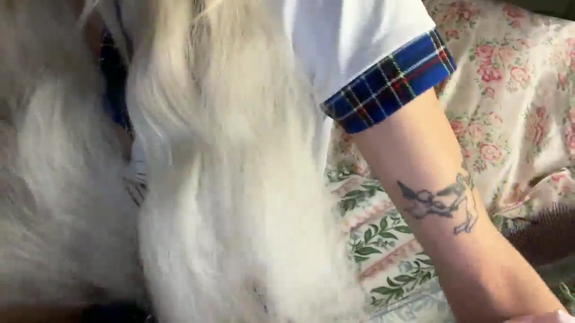 Gallery image thumbnail from annieangel18's myfreecams stream on, 01/16/2026, 08:03 image 16 of 20