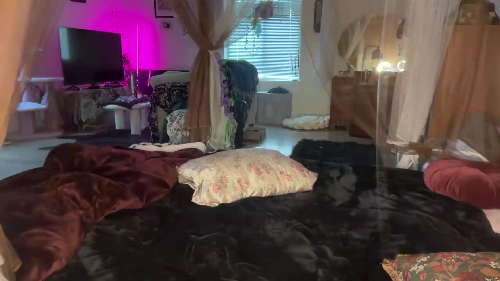 Gallery image thumbnail from annieangel18's myfreecams stream on, 09/17/2026, 24:05 image 18 of 20