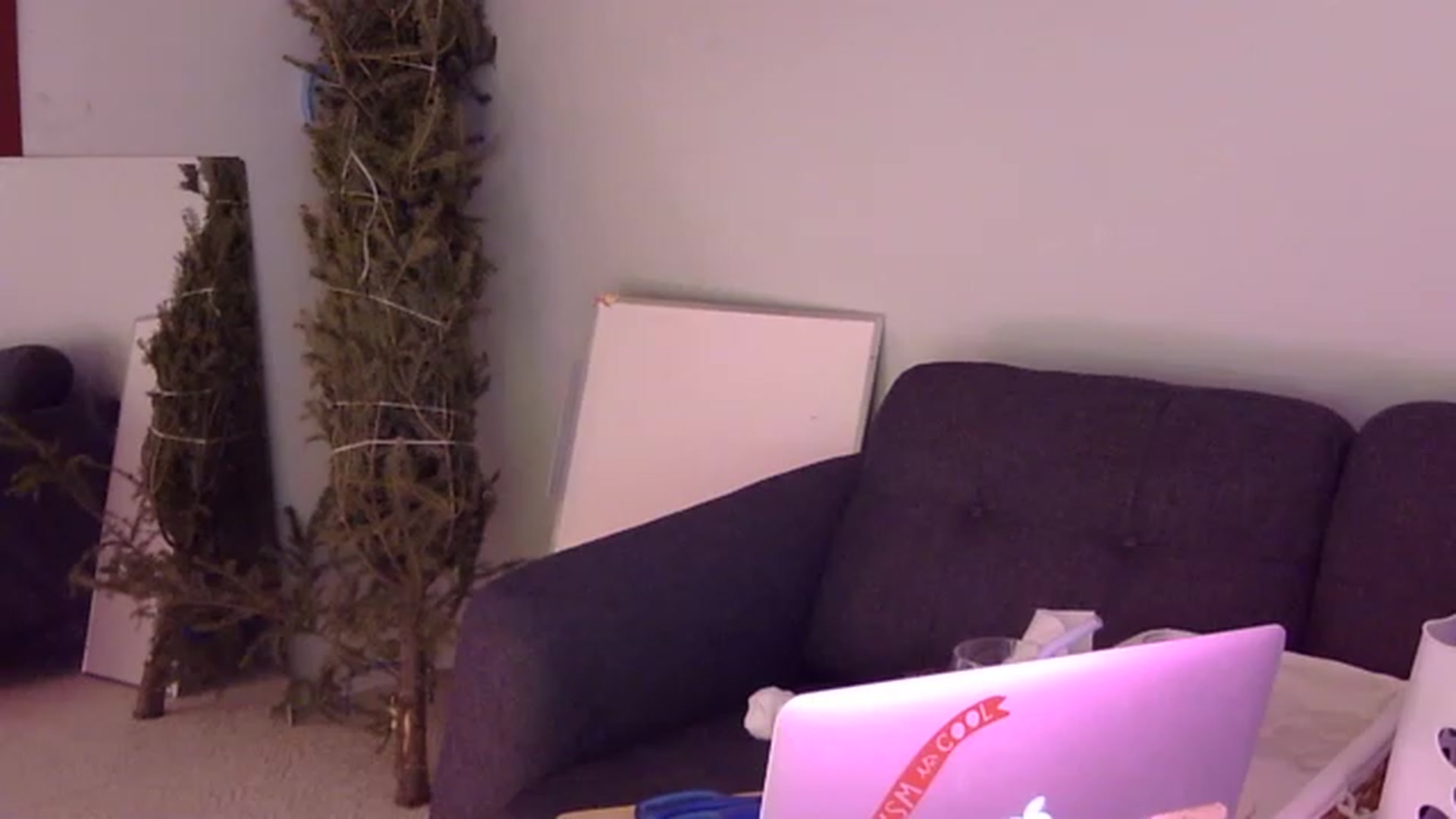 Gallery image thumbnail from antidreamgirl's myfreecams stream on, 12/23/2022, 11:07 image 18 of 20