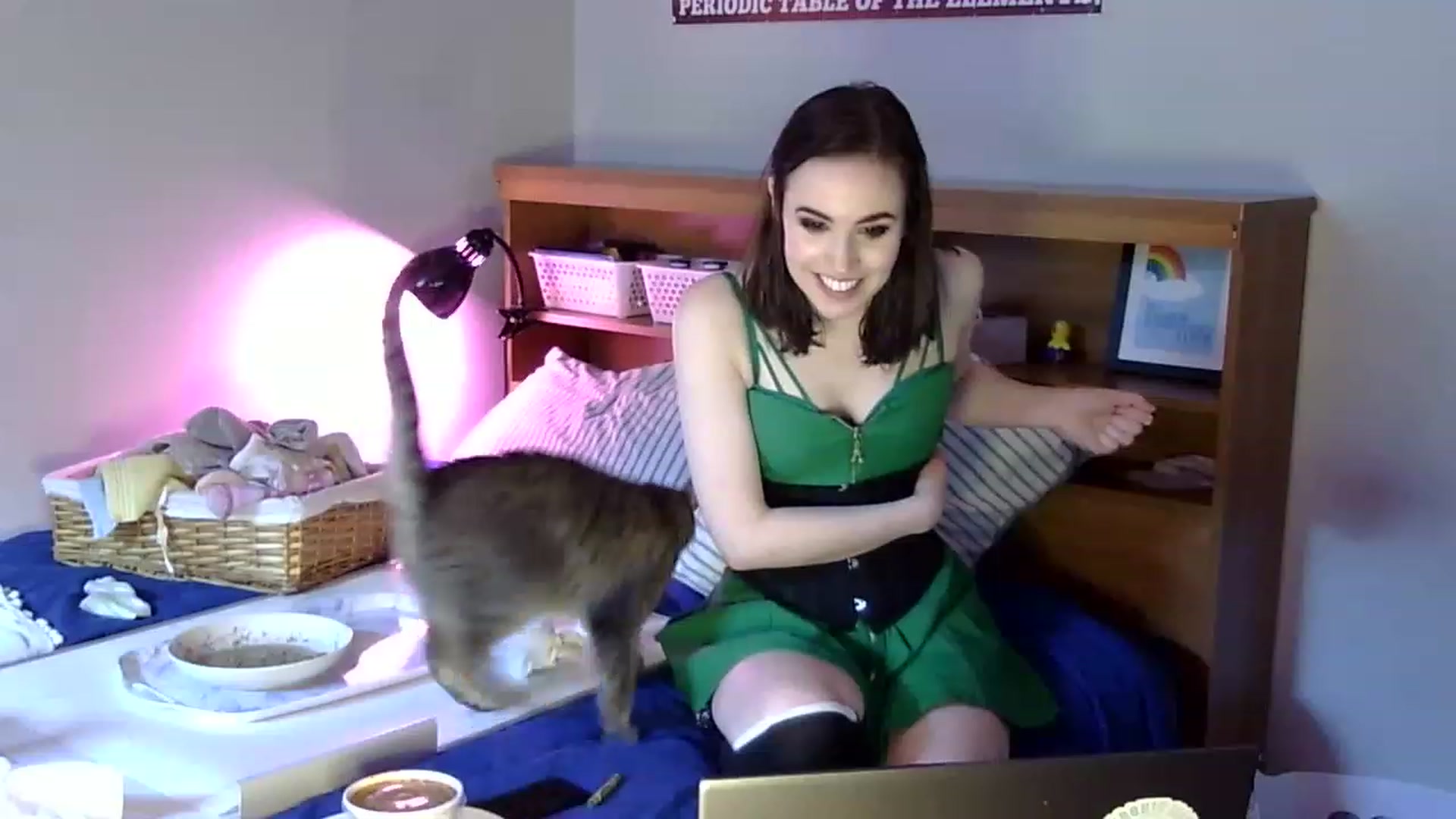 Gallery image thumbnail from antidreamgirl's myfreecams stream on, 03/18/2023, 14:48 image 19 of 20