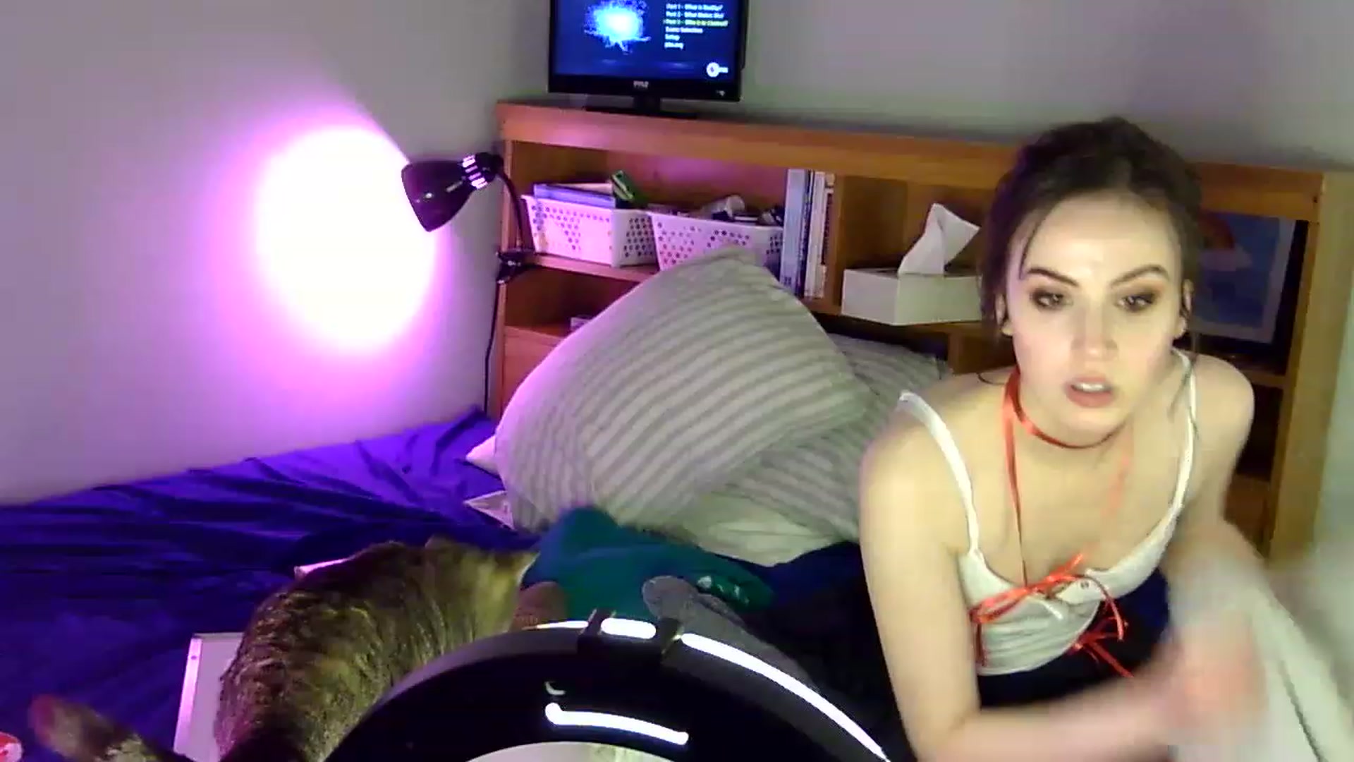 Gallery image thumbnail from antidreamgirl's myfreecams stream on, 03/27/2023, 11:39 image 12 of 20