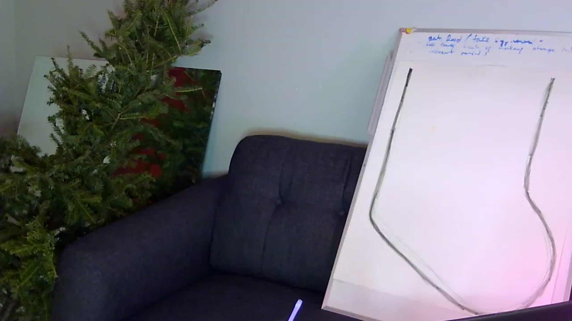 Gallery image thumbnail from antidreamgirl's myfreecams stream on, 03/27/2023, 15:22 image 12 of 20
