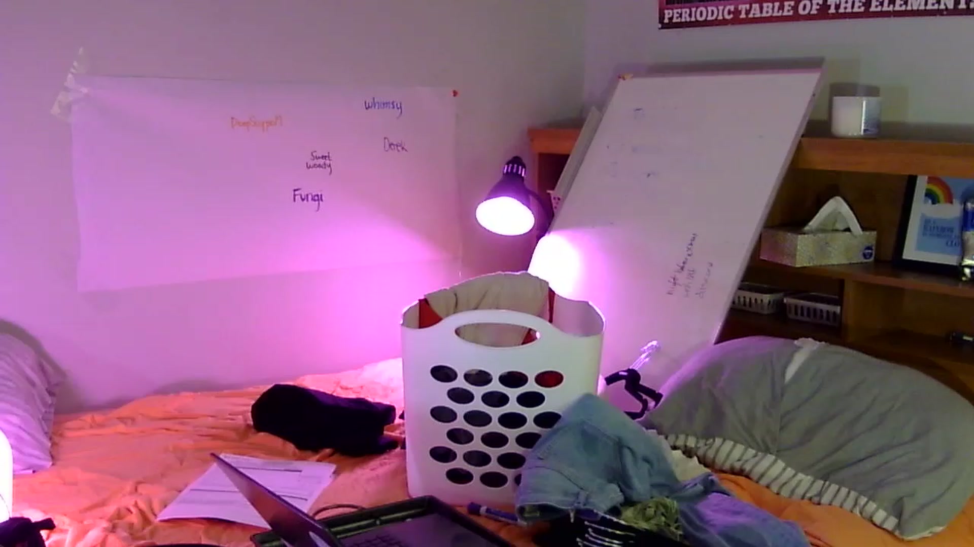 Gallery image thumbnail from antidreamgirl's myfreecams stream on, 06/08/2023, 06:21 image 14 of 20
