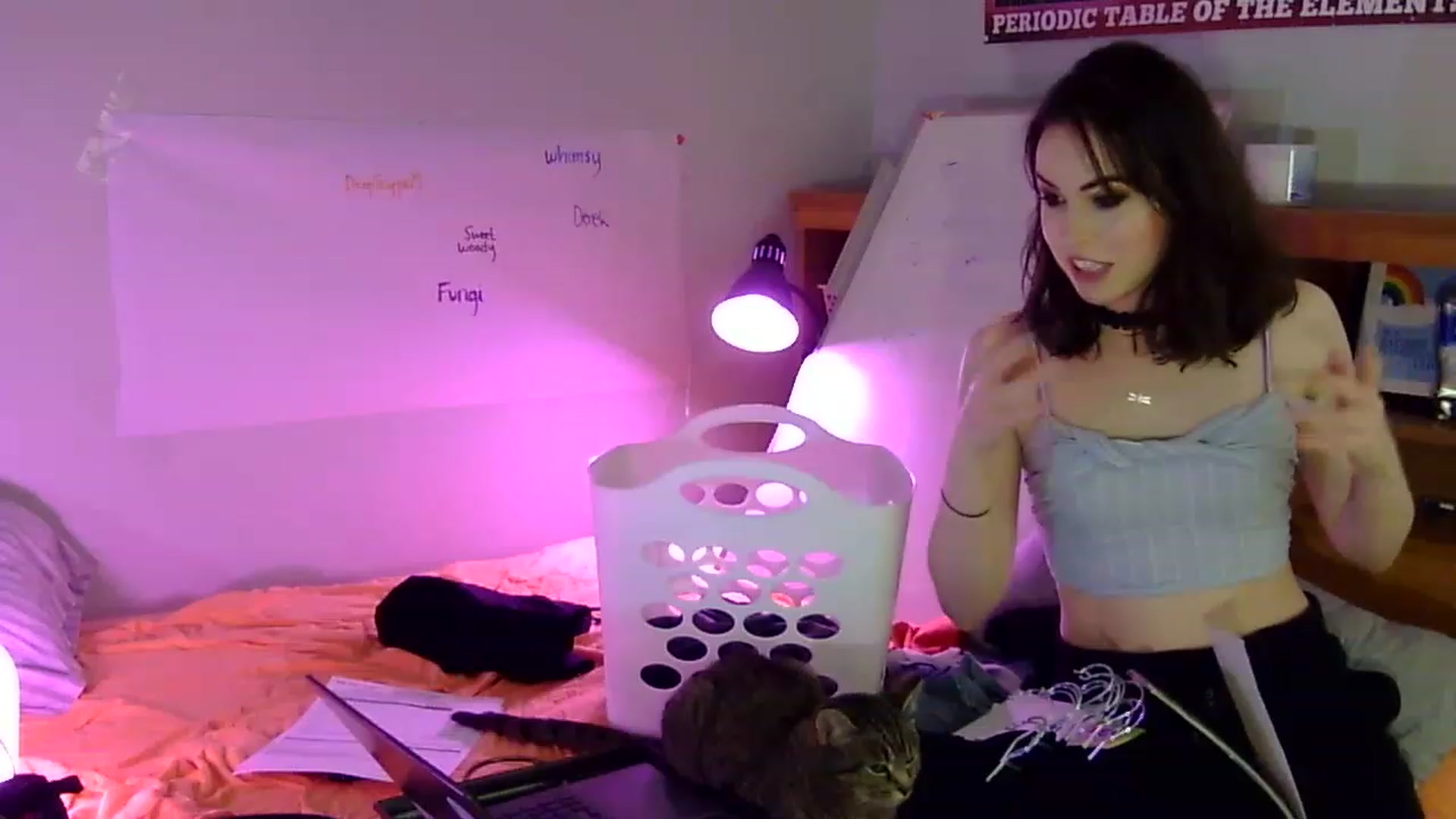 Gallery image thumbnail from antidreamgirl's myfreecams stream on, 06/08/2023, 07:02 image 2 of 20