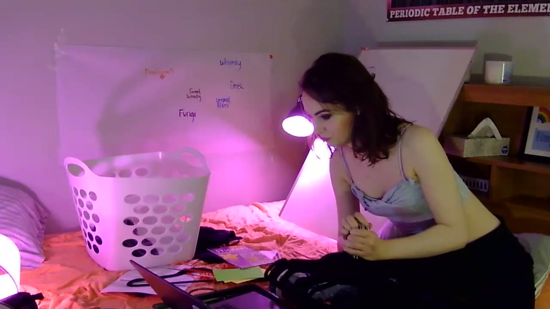 Gallery image thumbnail from antidreamgirl's myfreecams stream on, 06/08/2023, 07:02 image 15 of 20