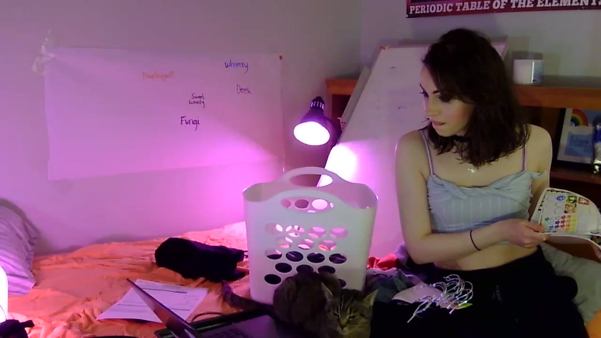 Gallery image thumbnail from antidreamgirl's myfreecams stream on, 06/08/2023, 07:02 image 3 of 20