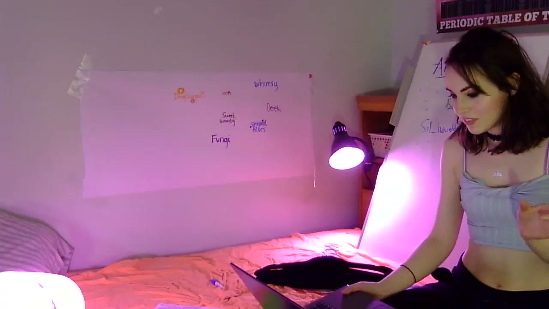 Gallery image thumbnail from antidreamgirl's myfreecams stream on, 06/08/2023, 08:49 image 8 of 20
