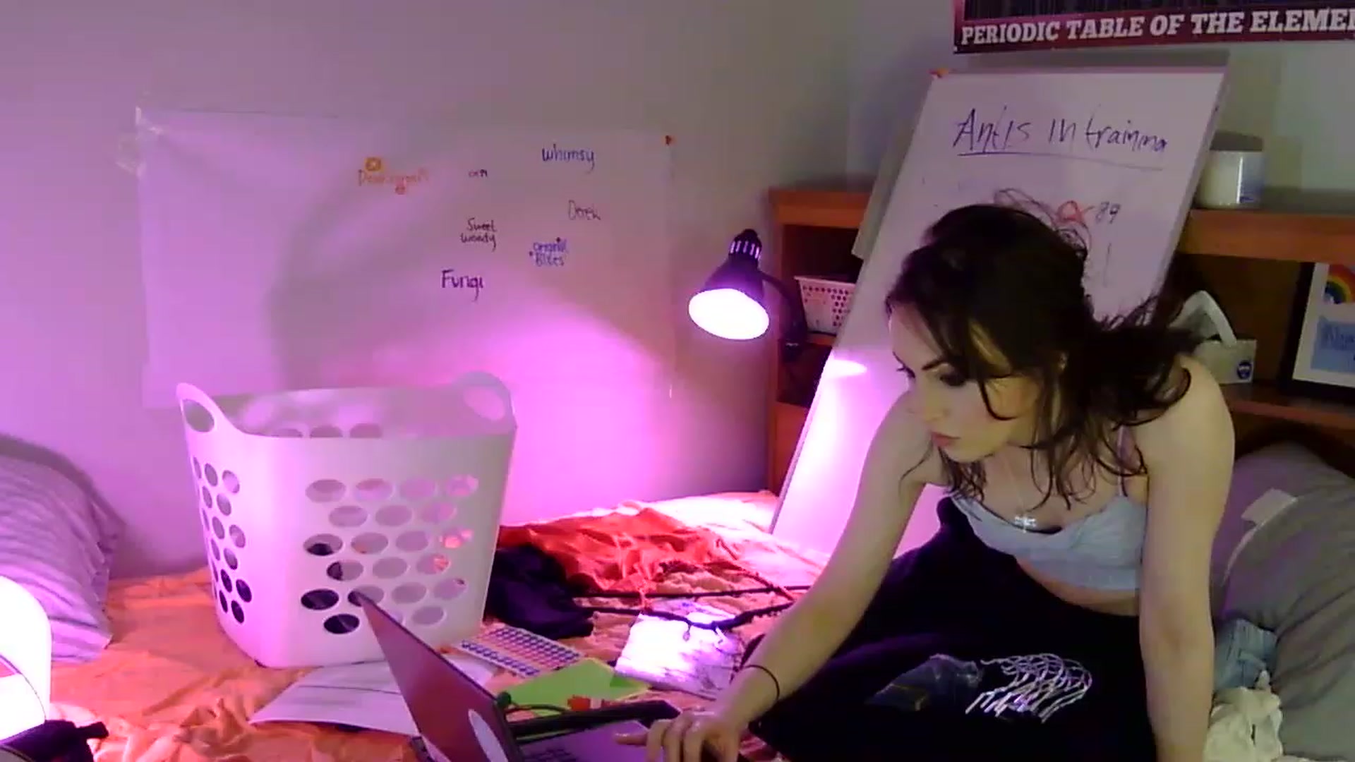 Gallery image thumbnail from antidreamgirl's myfreecams stream on, 06/08/2023, 08:49 image 2 of 20