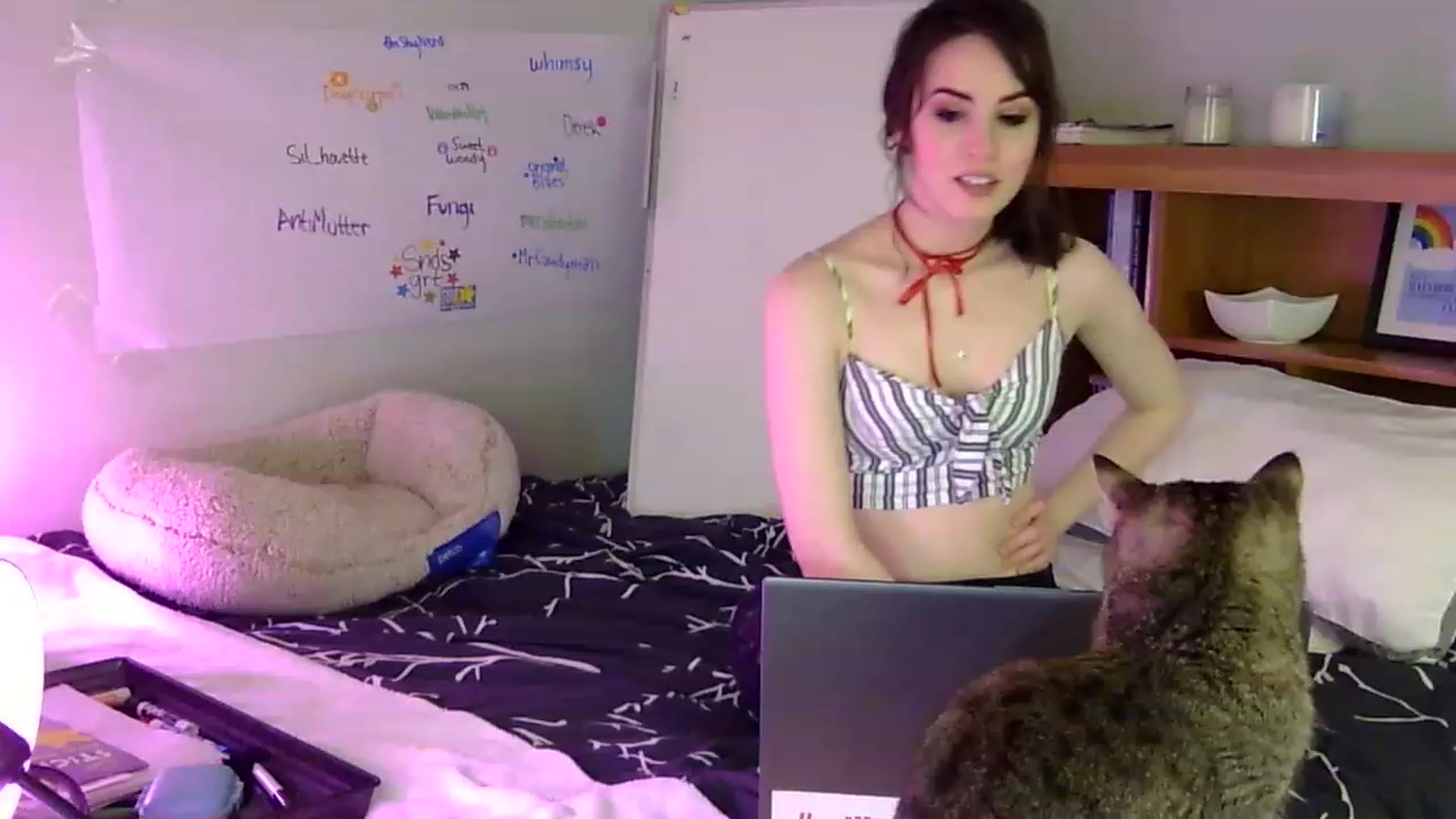 Gallery image thumbnail from antidreamgirl's myfreecams stream on, 06/10/2023, 08:26 image 1 of 20